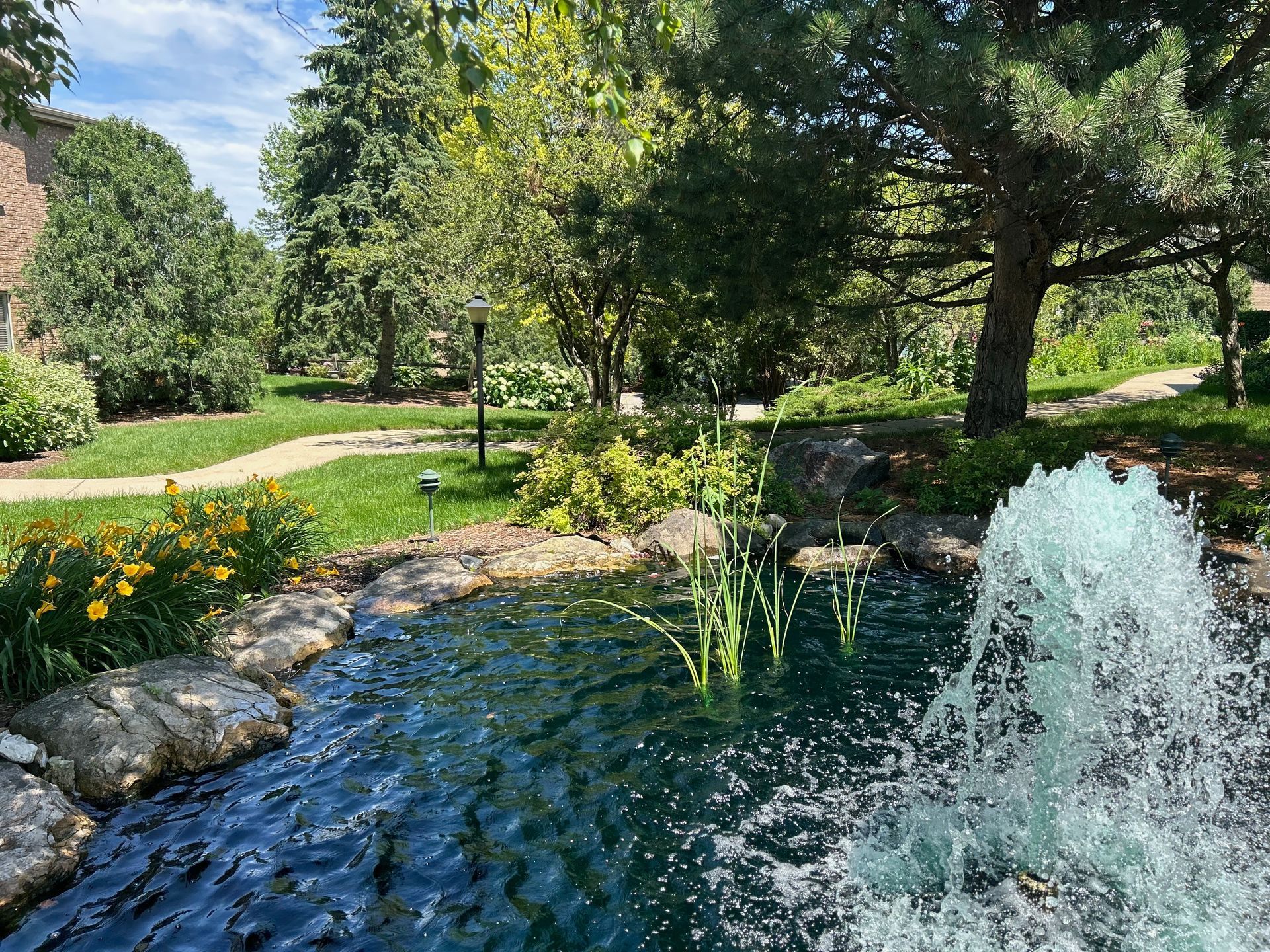 A fountain is spraying water into a pond in a park.