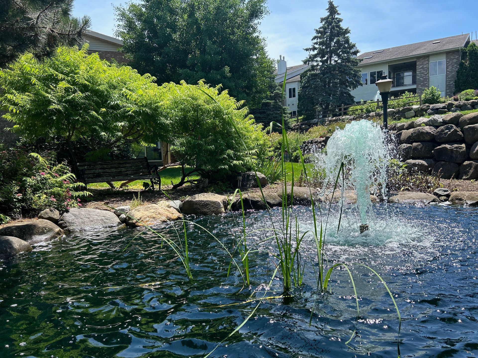 A pond with a fountain in the middle of it