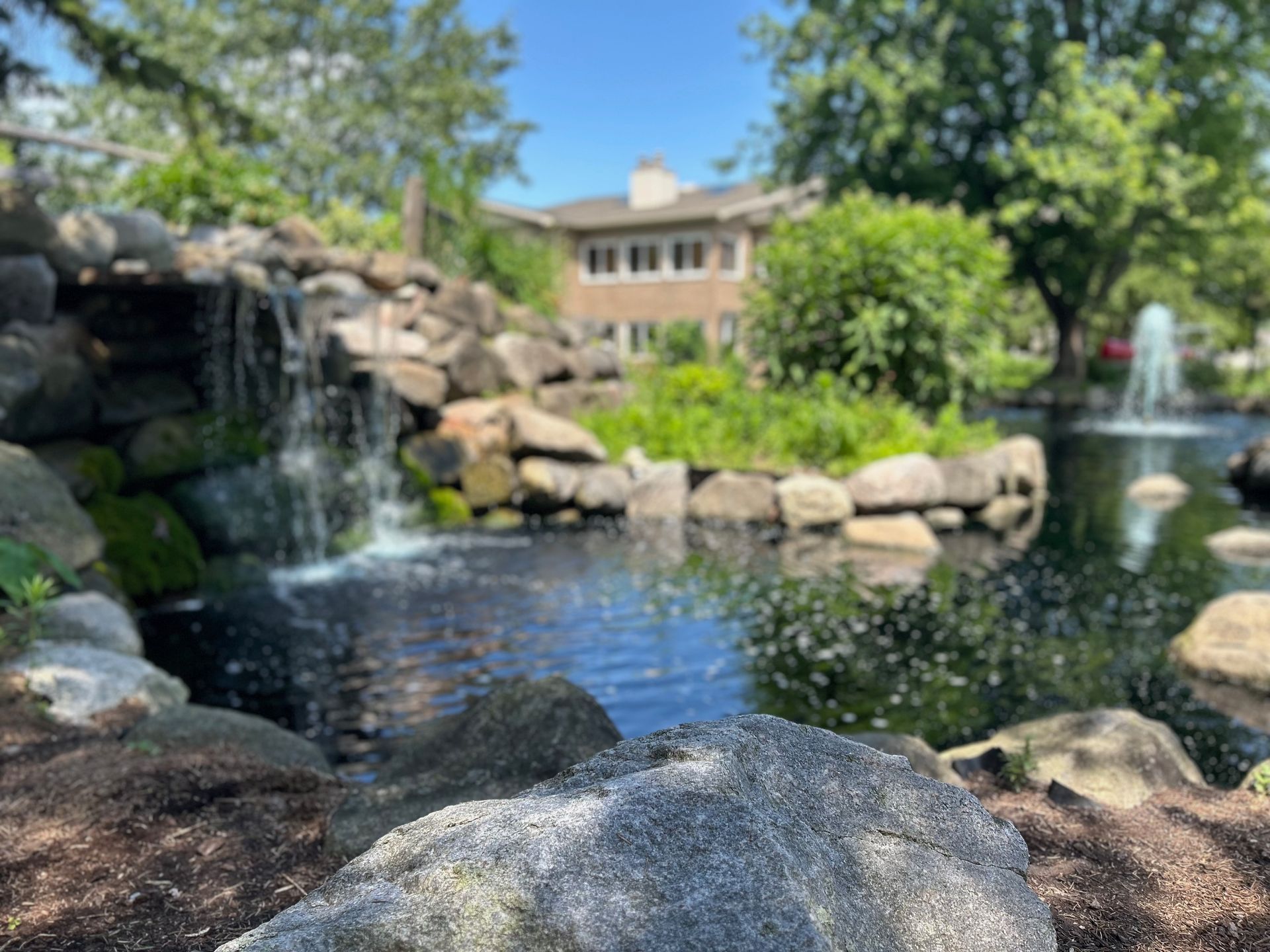 There is a waterfall in the background and a pond in the foreground.
