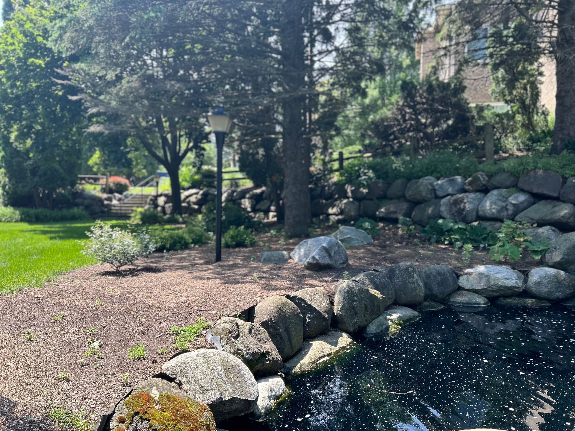 A pond surrounded by rocks and trees in a park.