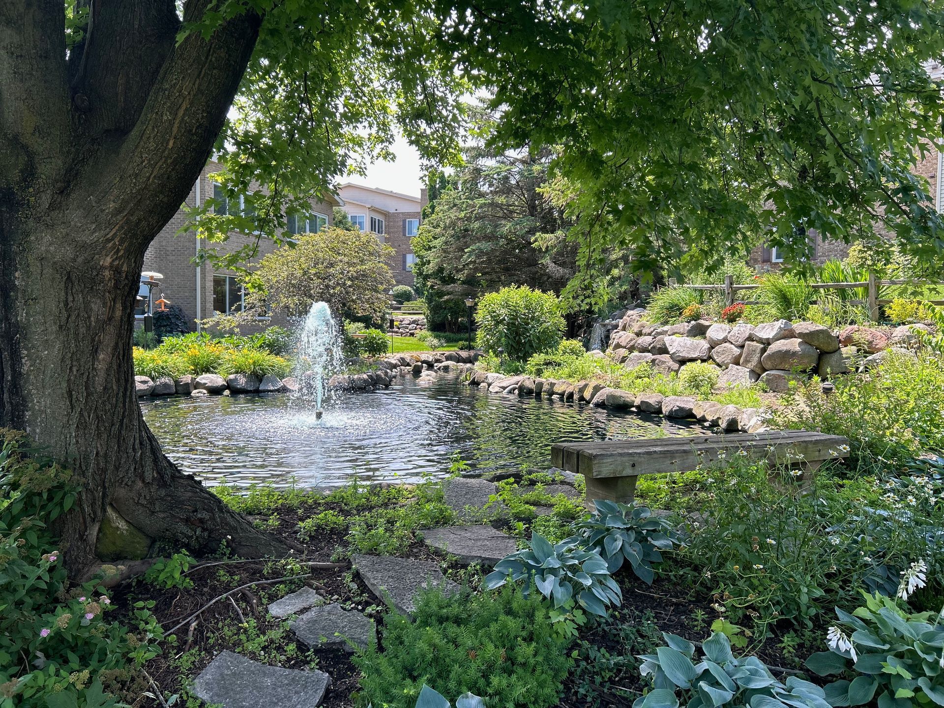 A pond with a fountain in the middle of it in a garden.