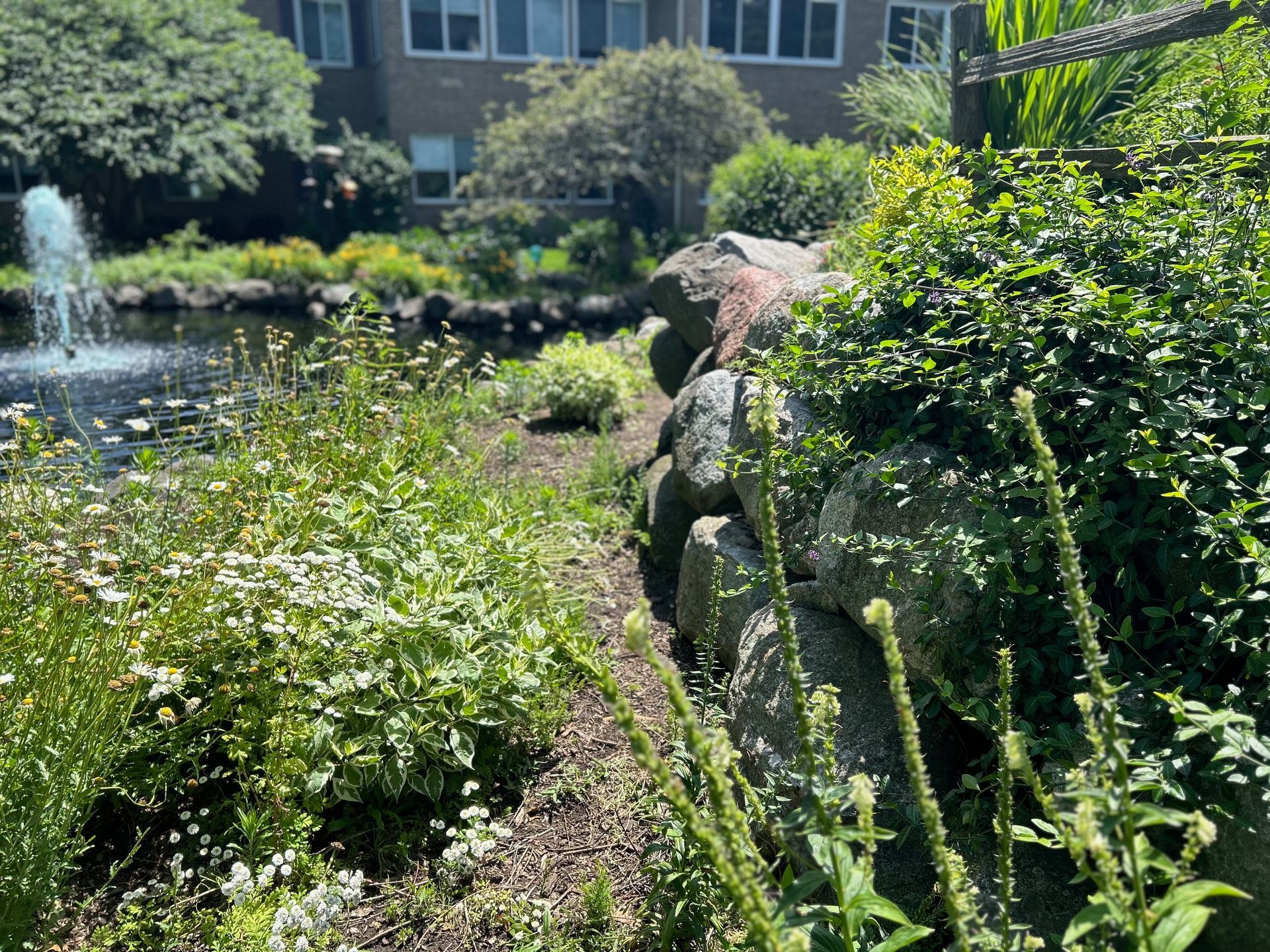 There is a fountain in the middle of the garden.