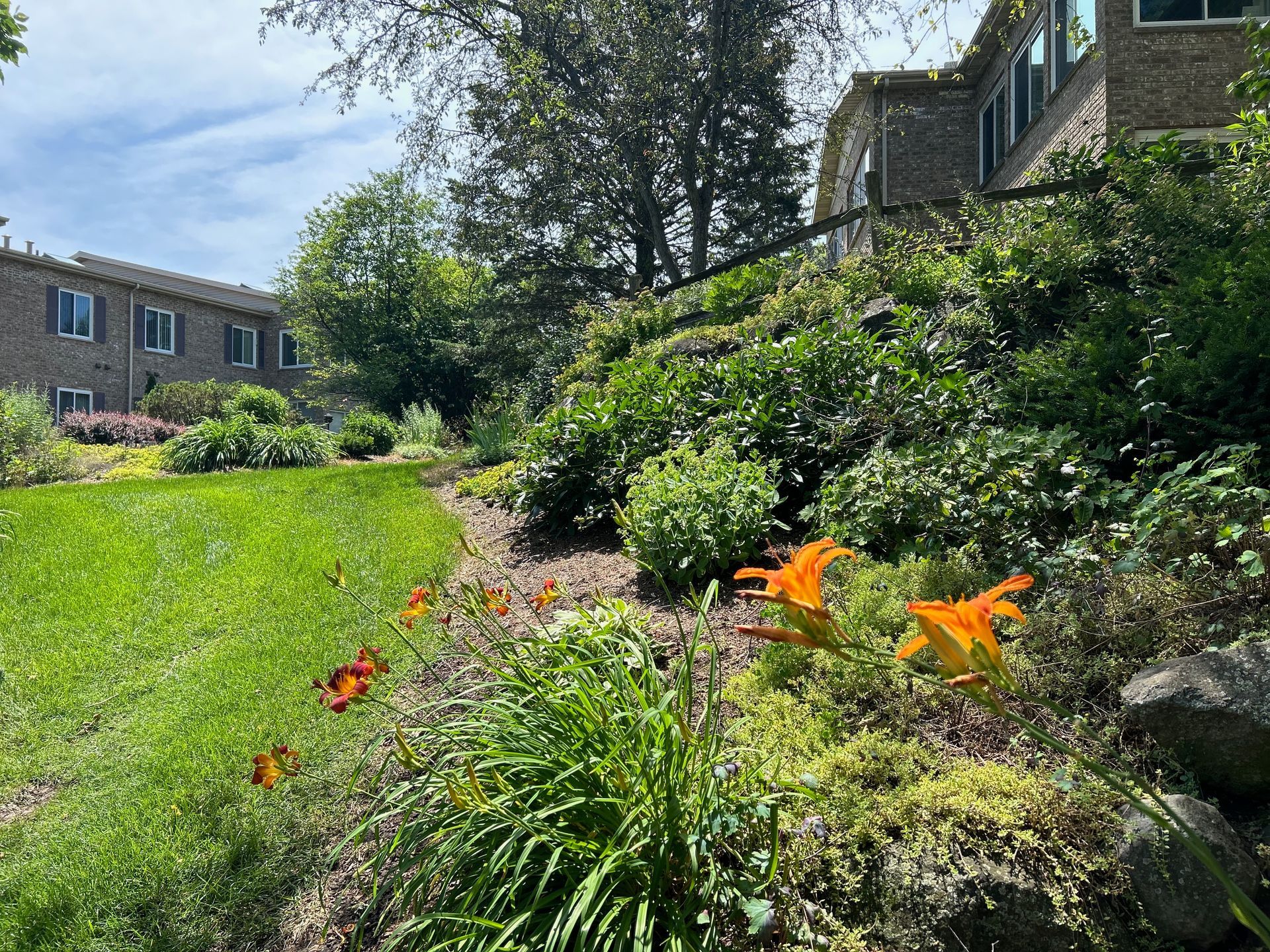 A house with a lot of plants and flowers in front of it.