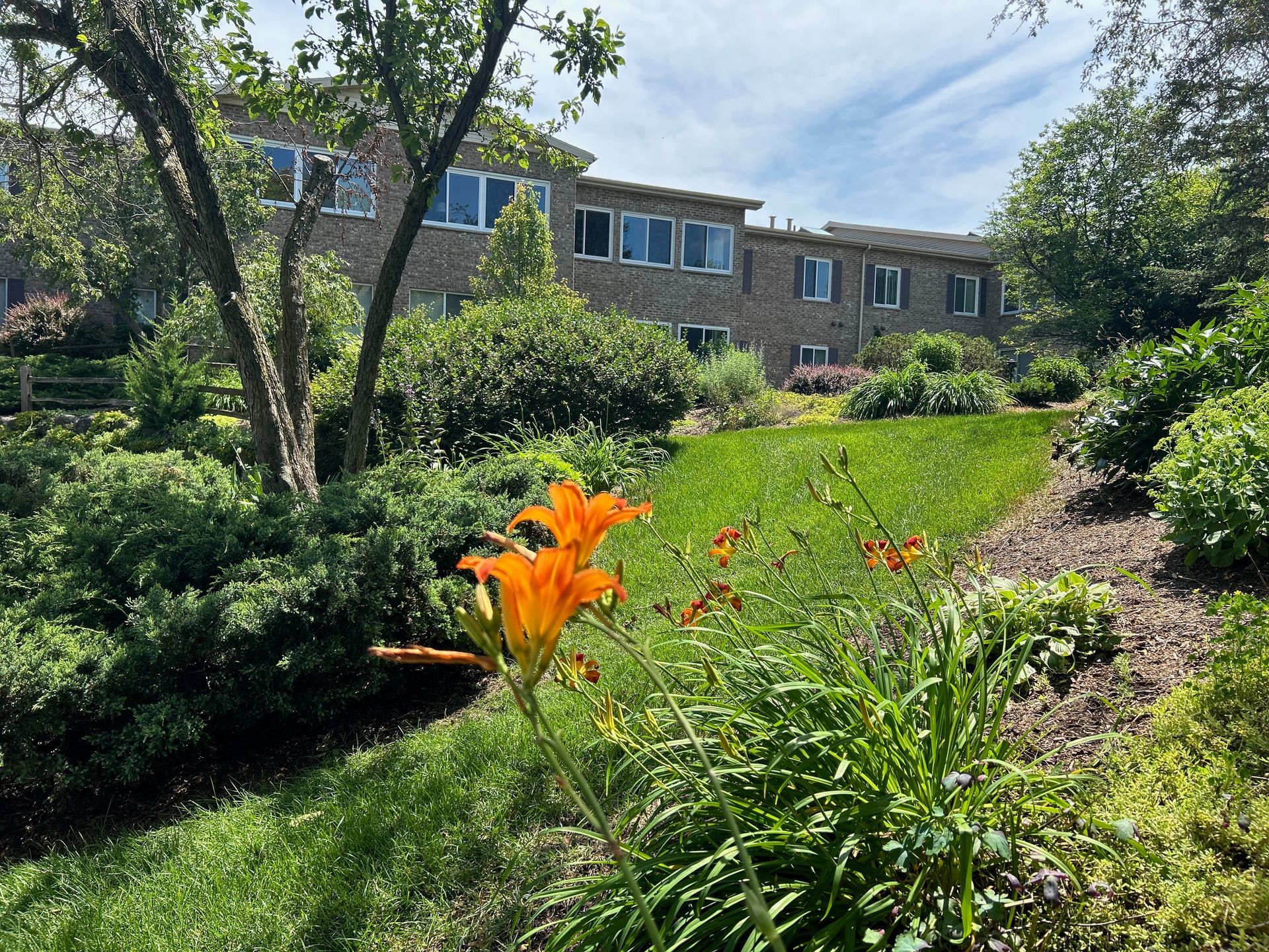 A garden with flowers and bushes in front of a building.