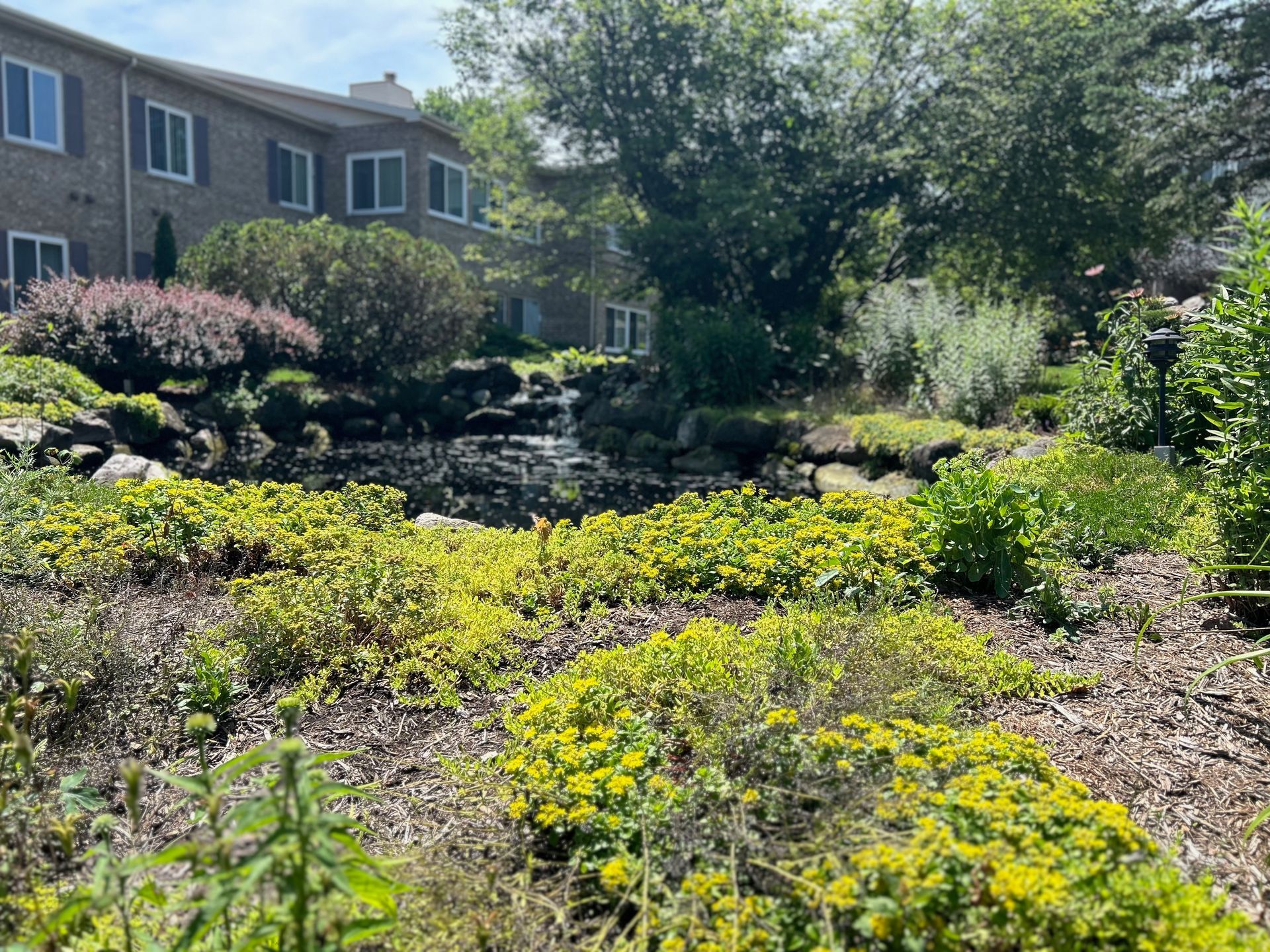 There is a waterfall in the middle of a garden in front of a building.