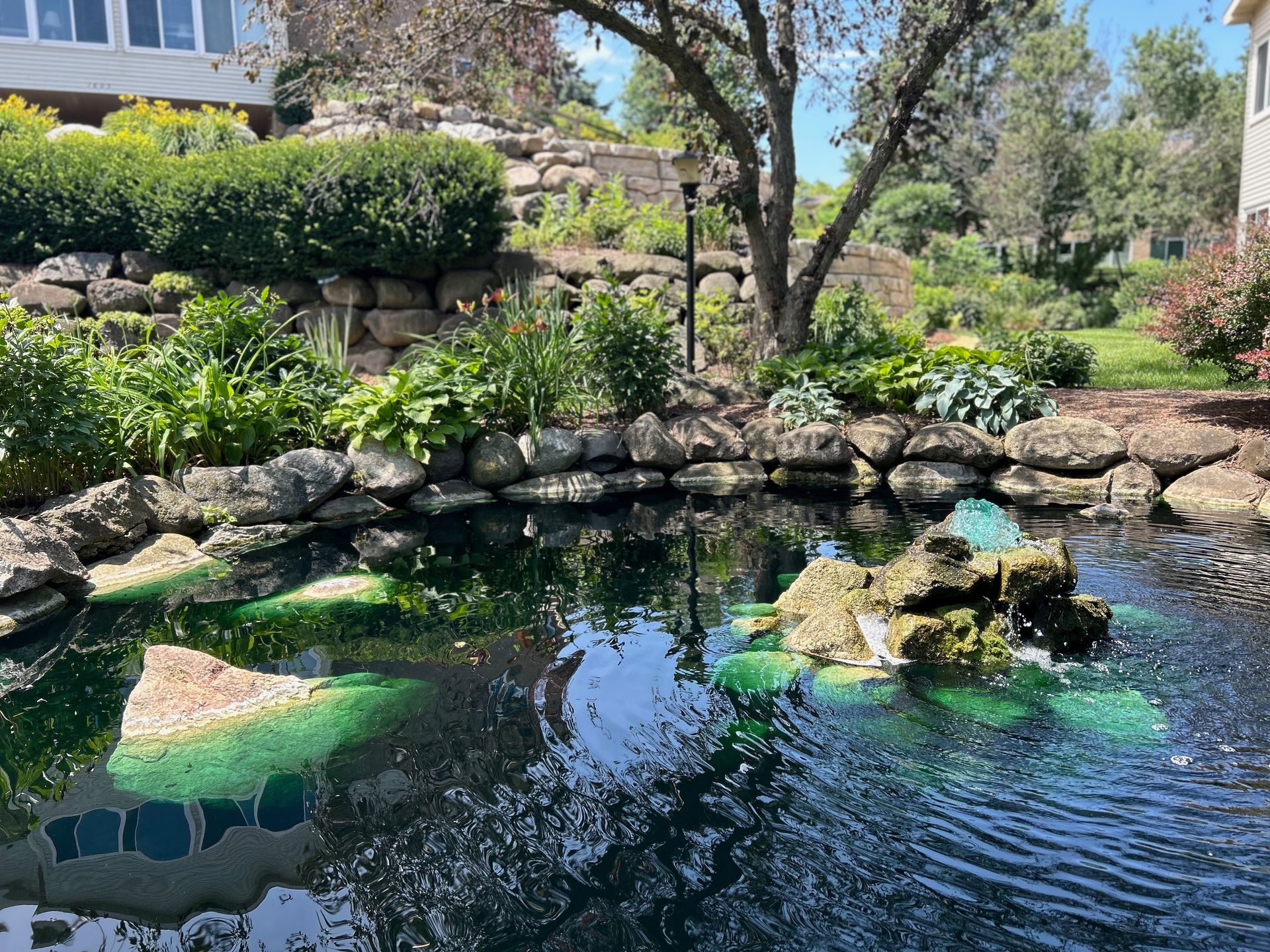 A large pond surrounded by rocks and plants in a garden.