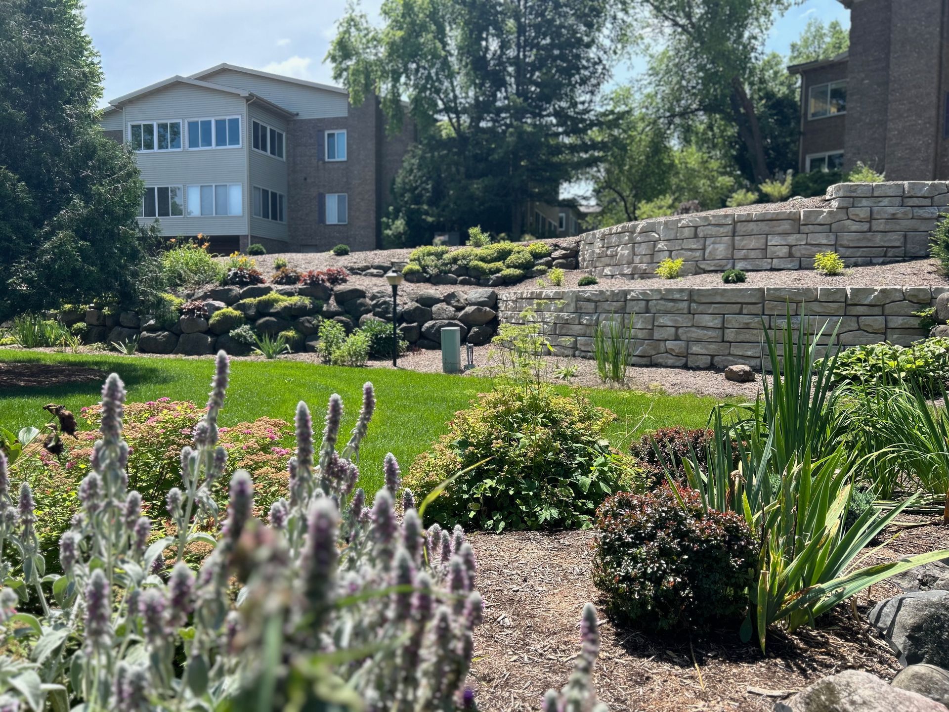 A garden with flowers and a building in the background