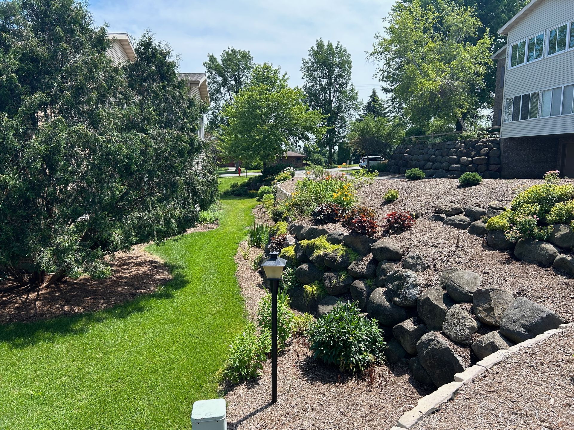 A lush green yard with trees and rocks in front of a house.
