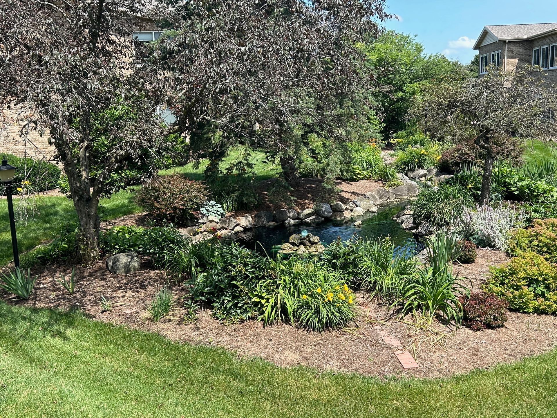 There is a pond in the middle of the garden.
