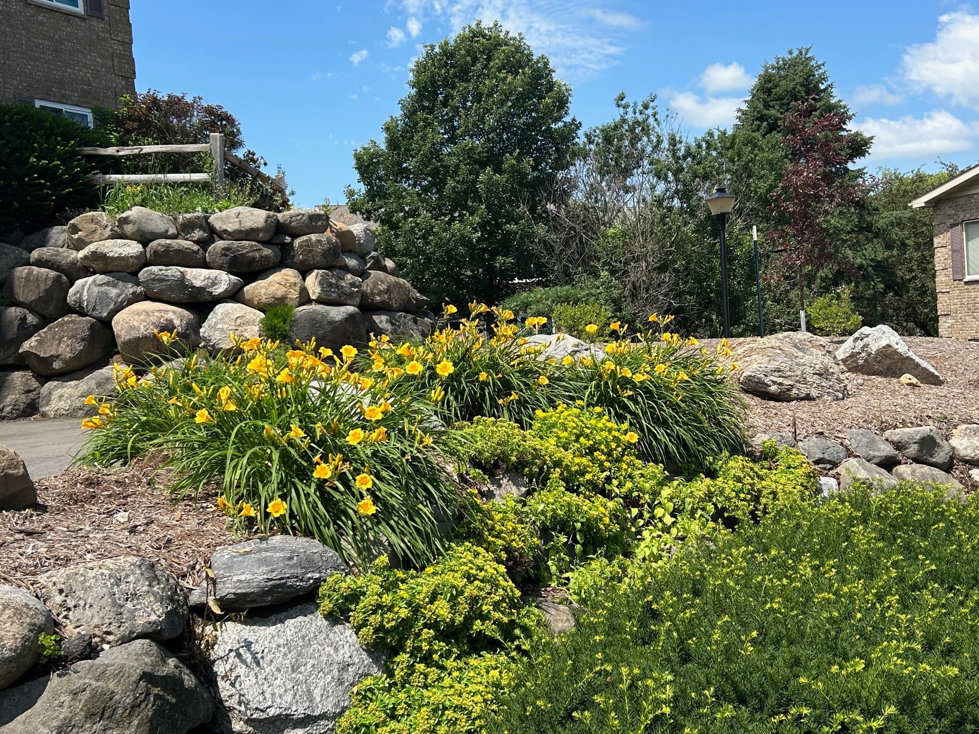 A garden with lots of flowers and rocks in front of a house.