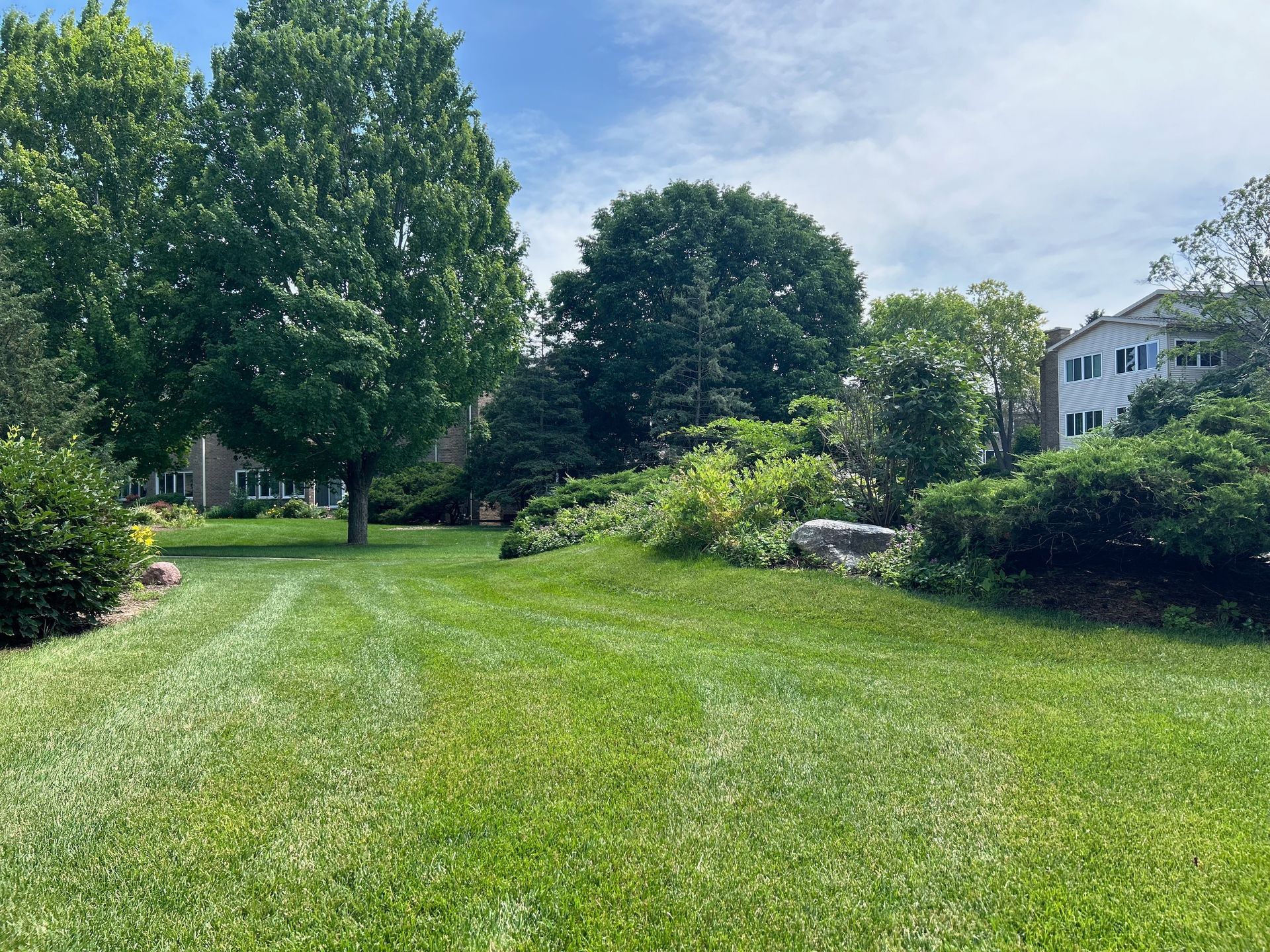 A large lush green lawn with trees in the background and a house in the background.