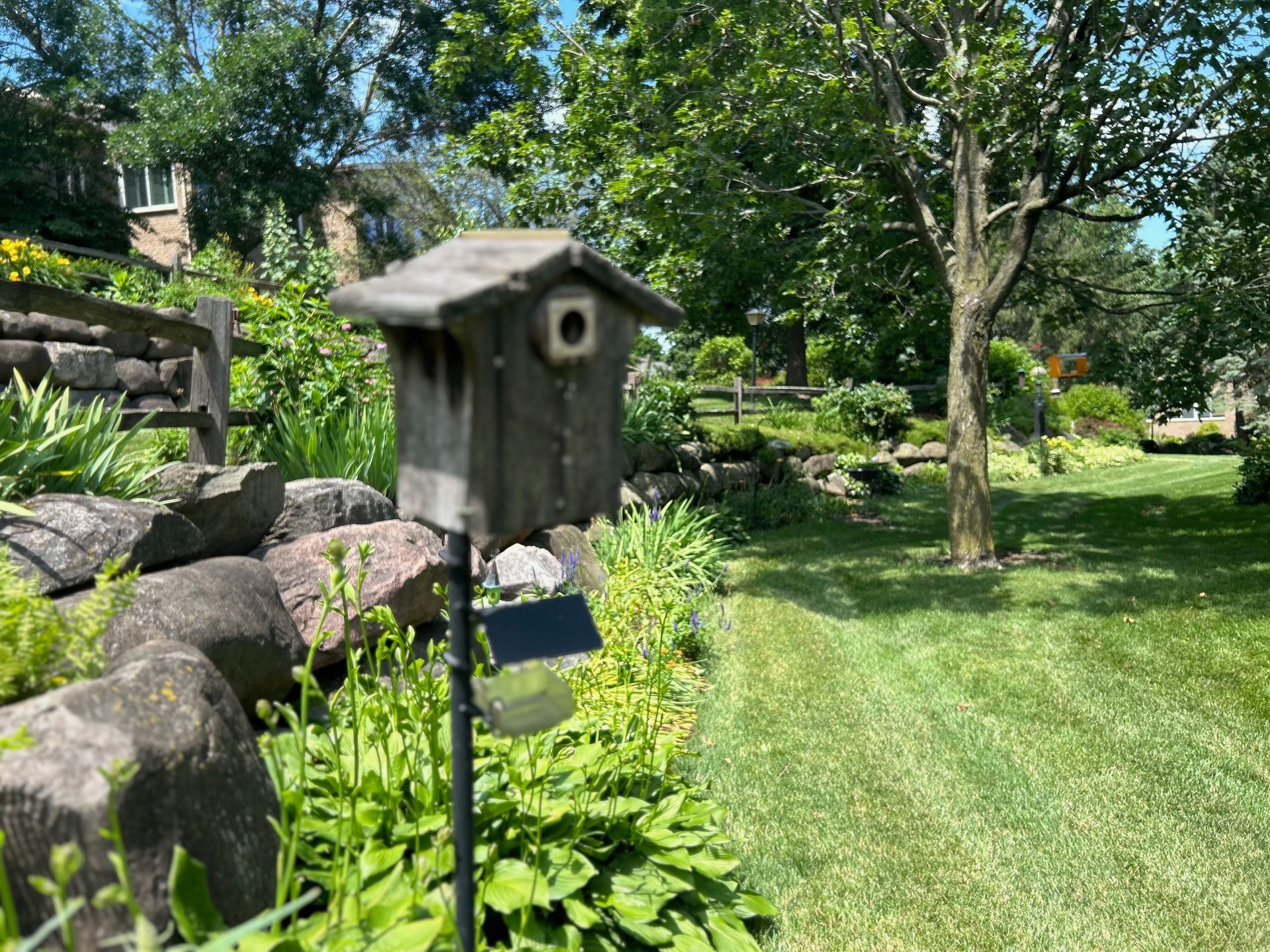 A birdhouse is sitting in the middle of a lush green garden.