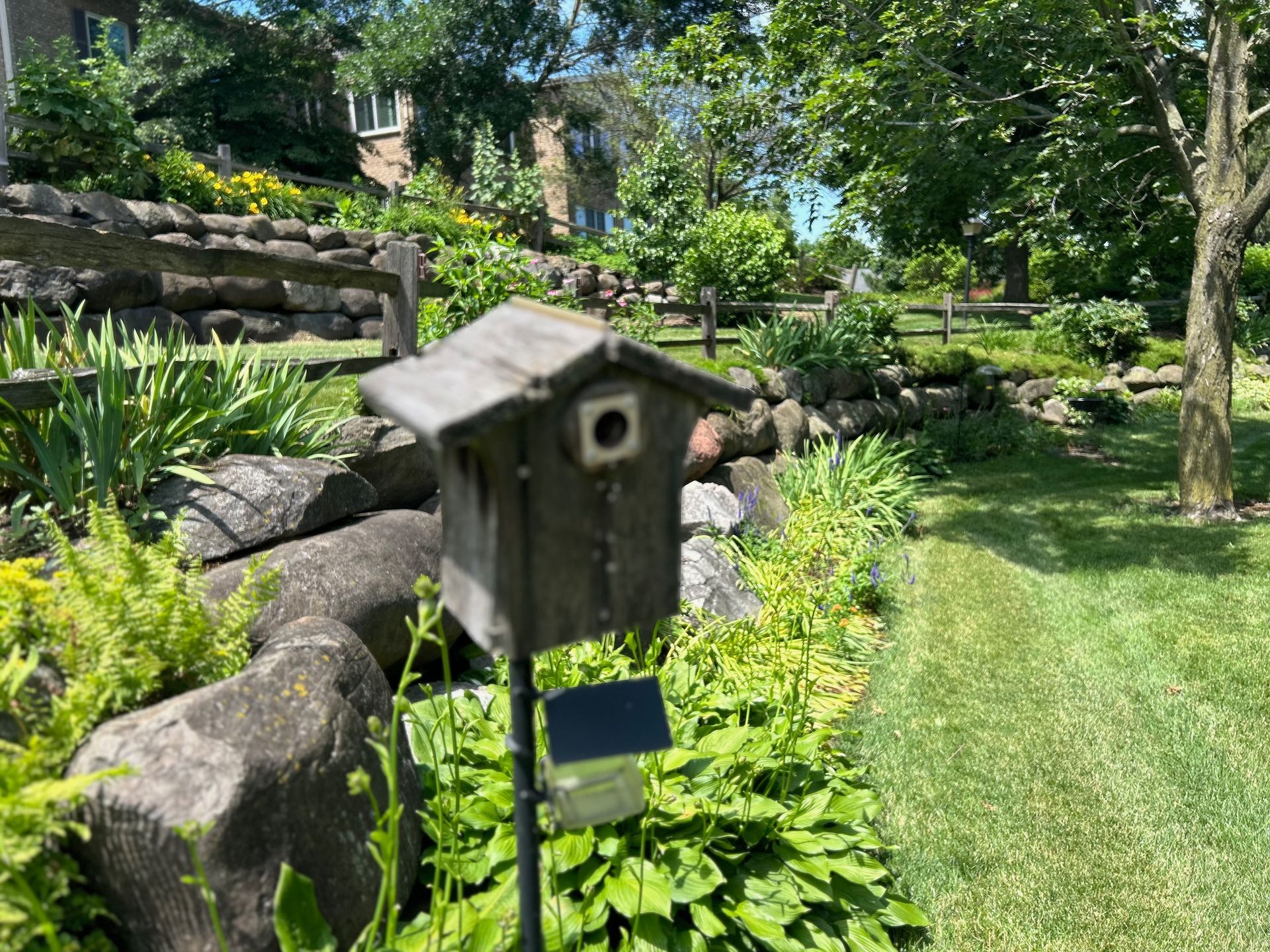 A birdhouse is sitting in the middle of a garden.