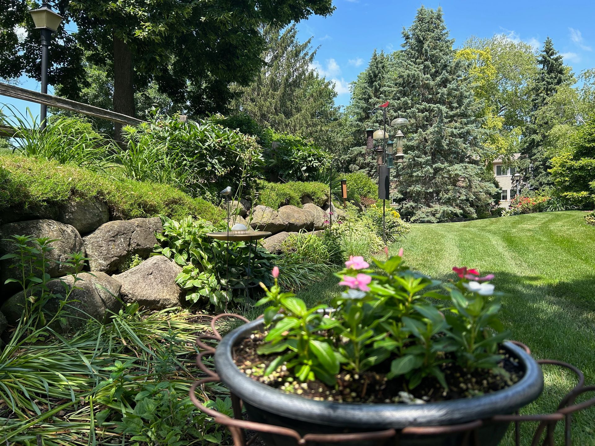 A potted plant with pink and white flowers in a garden.