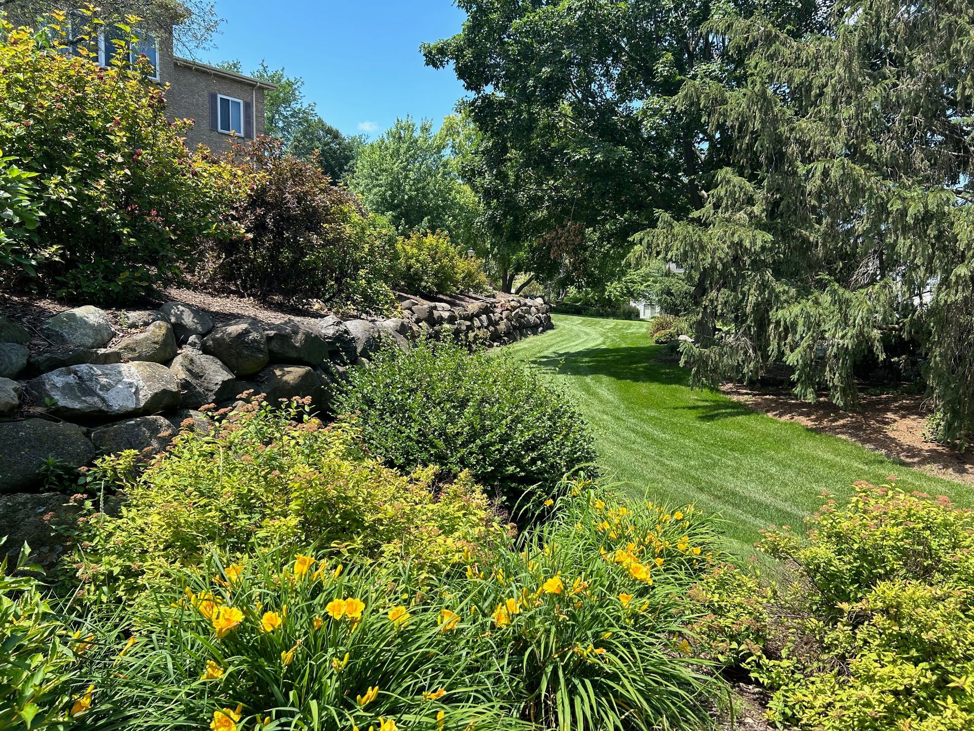 A lush green lawn surrounded by trees and flowers with a house in the background.