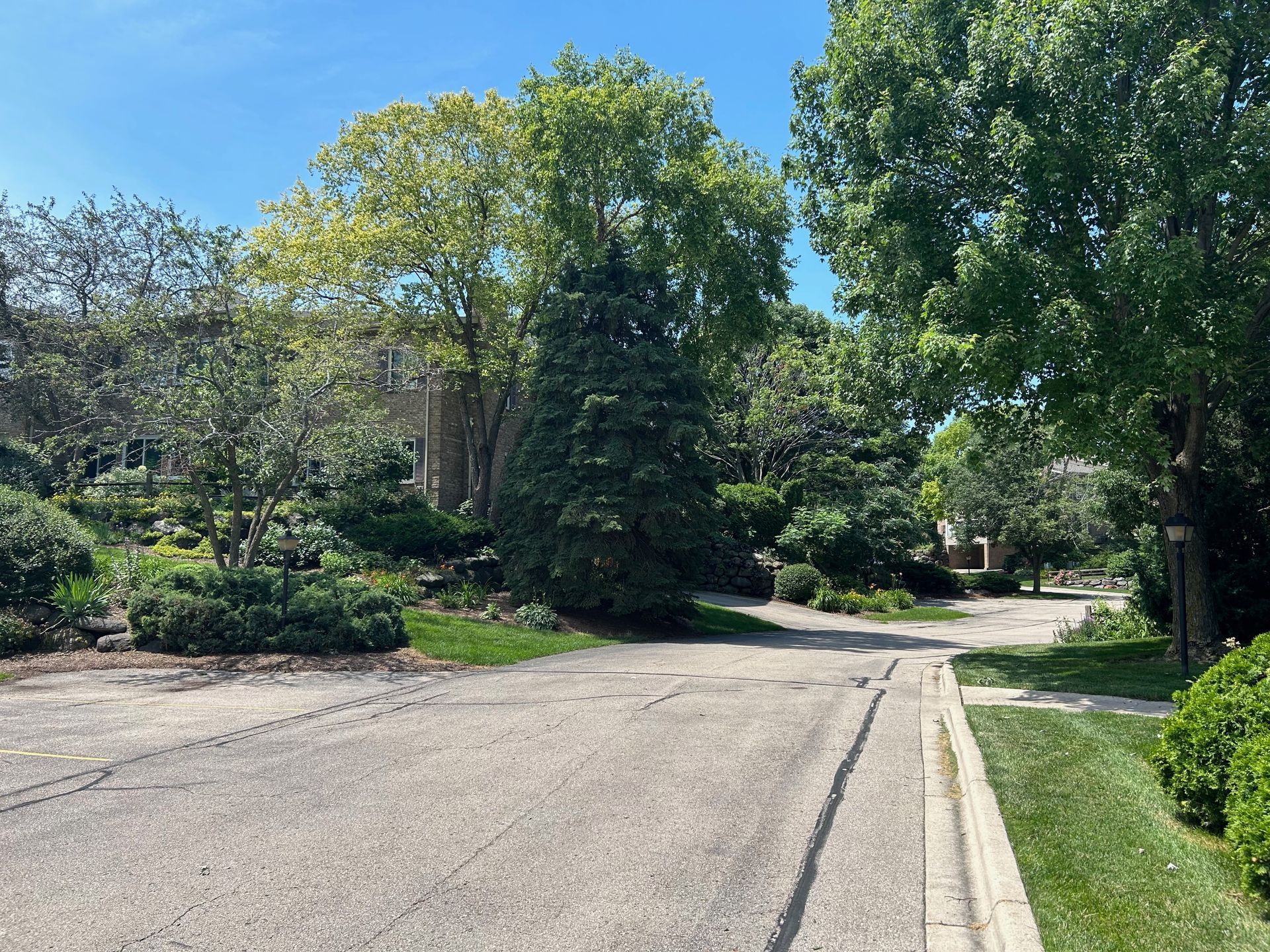 A residential street with trees on both sides and a house in the background.