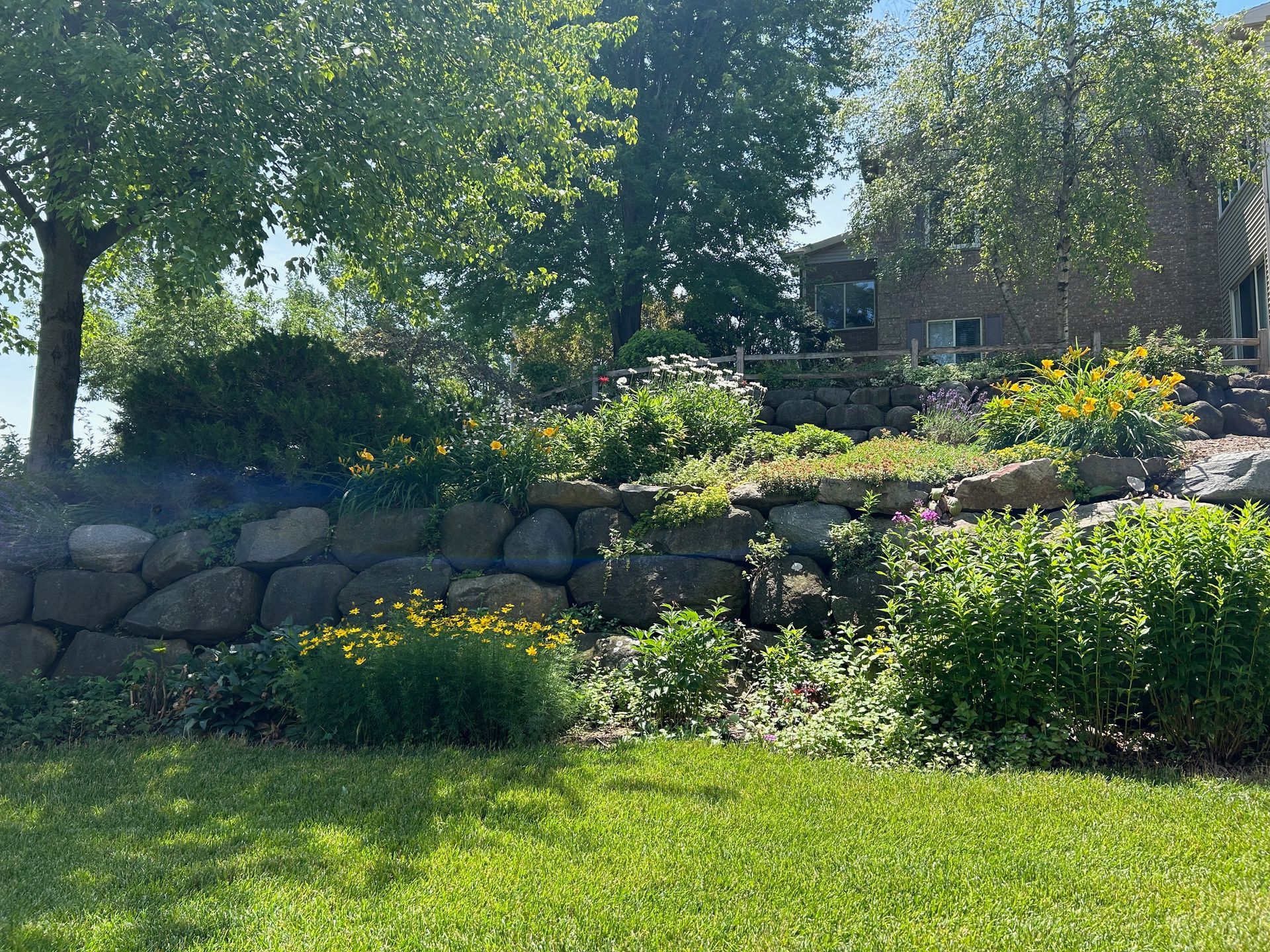 A lush green yard with a stone wall and a house in the background.