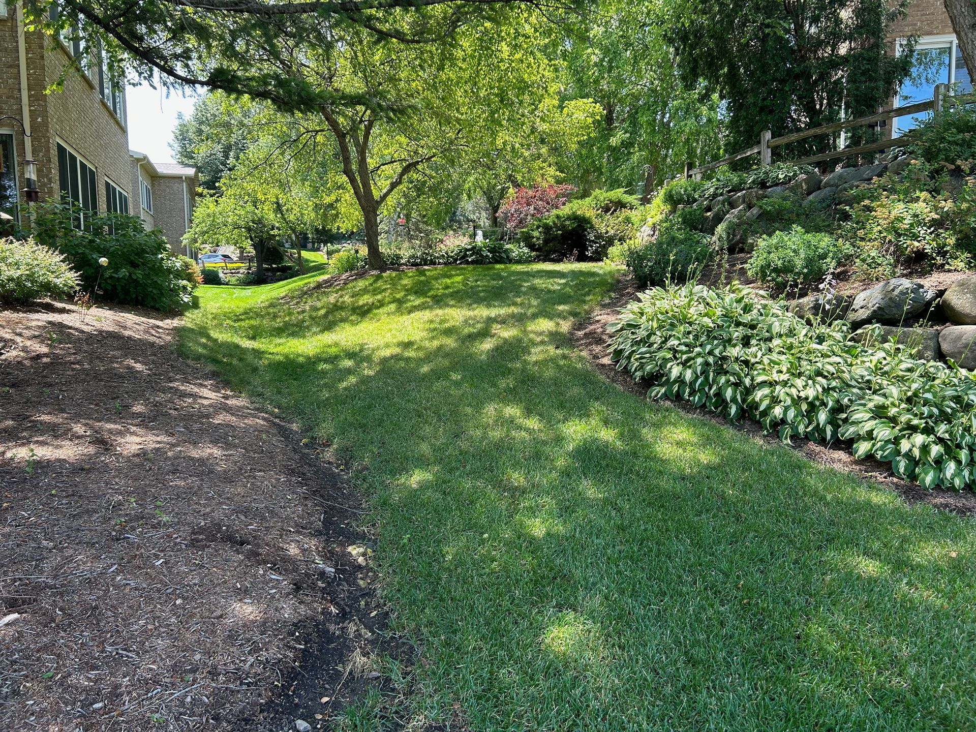 A lush green lawn with trees in the background and a house in the background.