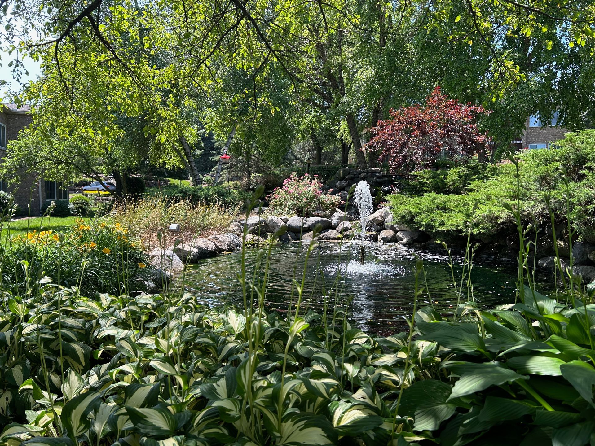 A pond with a fountain in the middle of it in a garden surrounded by trees.