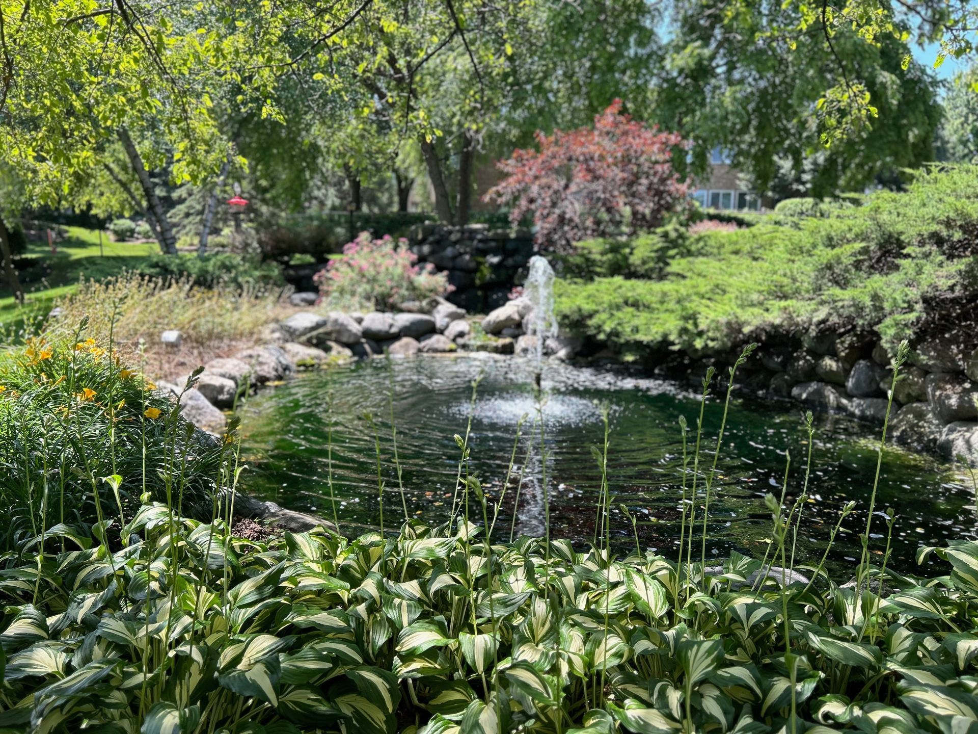A pond with a fountain in the middle of a park surrounded by trees.