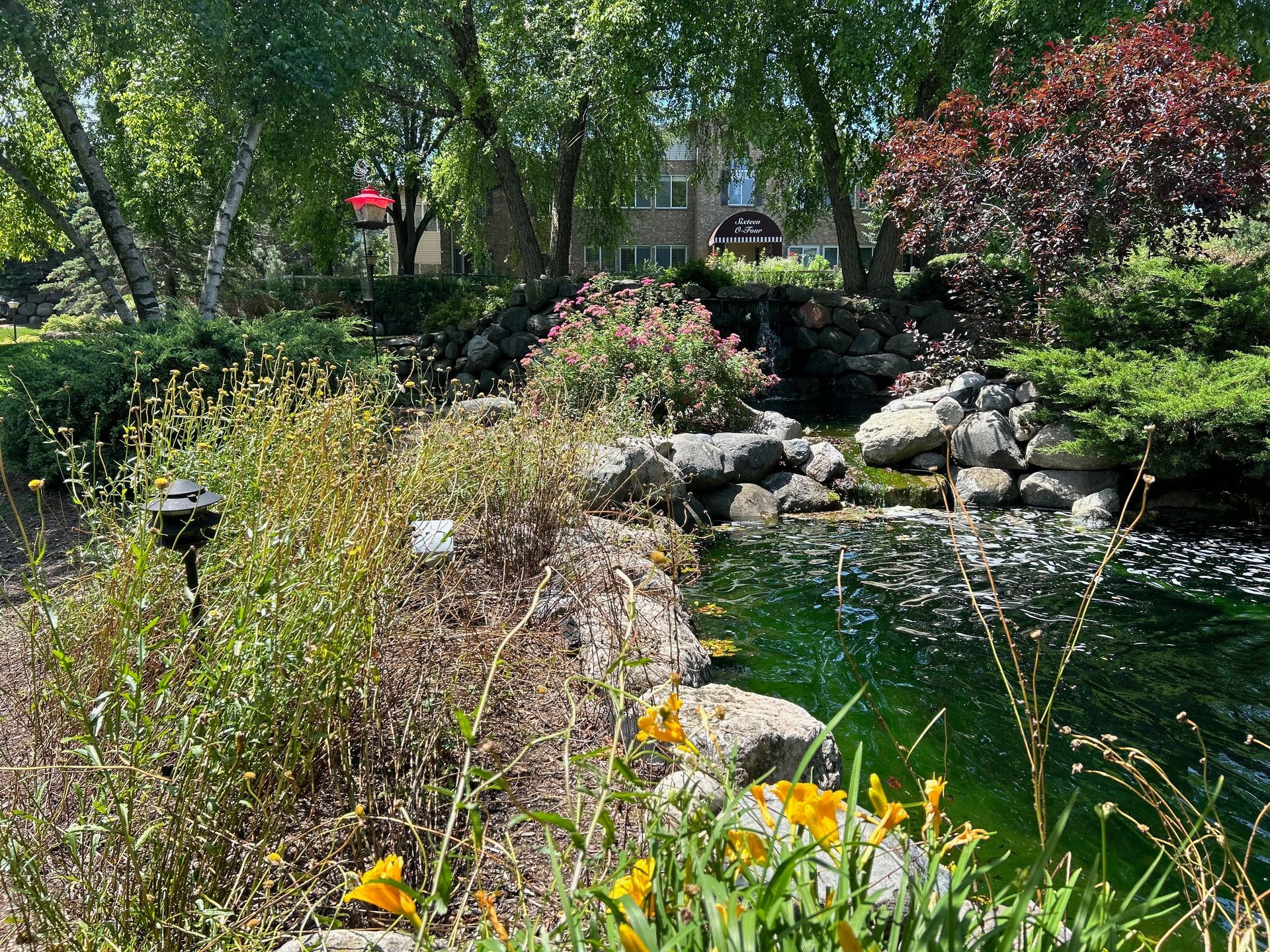 A pond surrounded by trees and flowers in a garden with a house in the background.