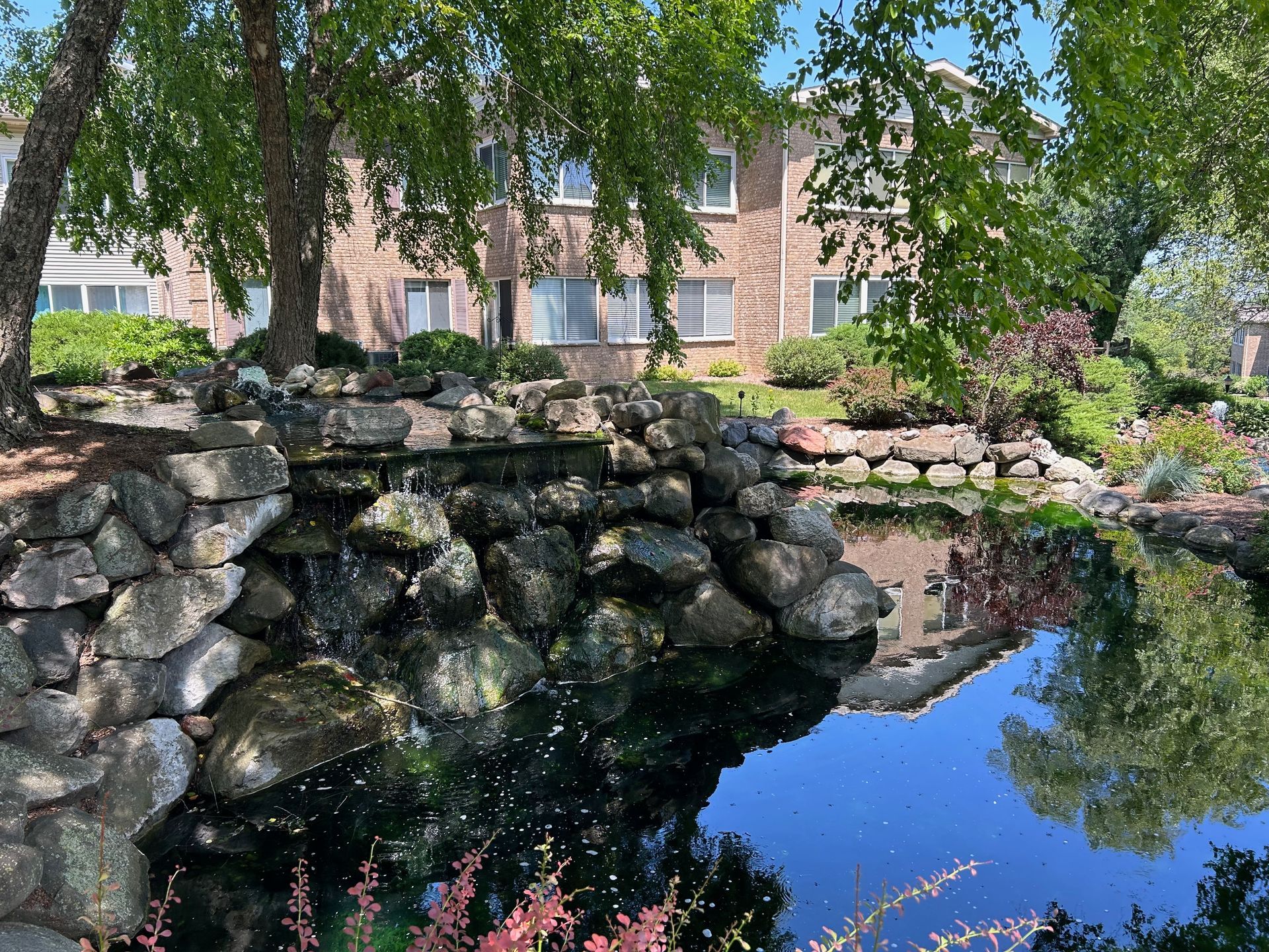 A pond surrounded by rocks and trees in front of a building.