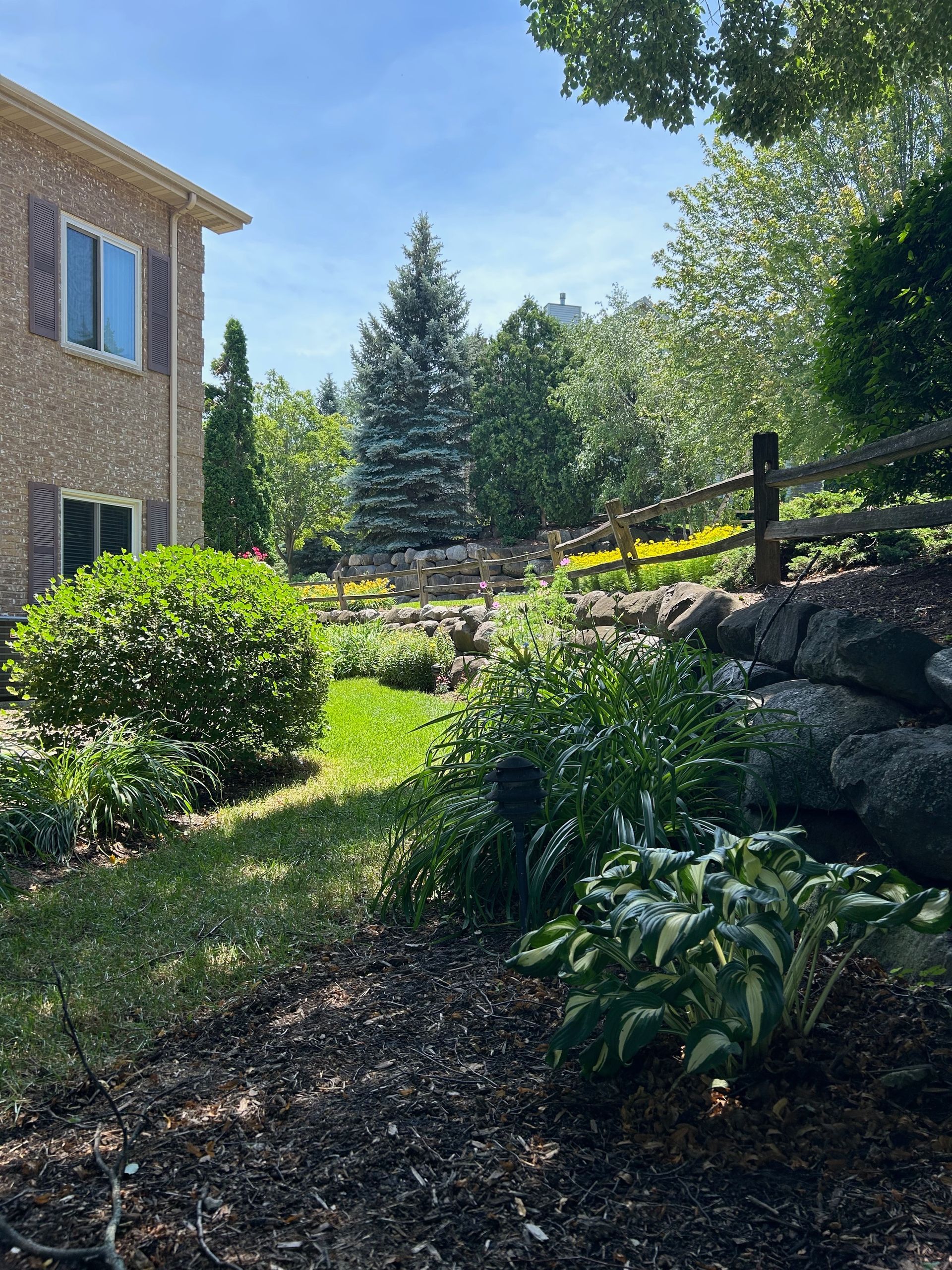 A house with a lot of plants in front of it