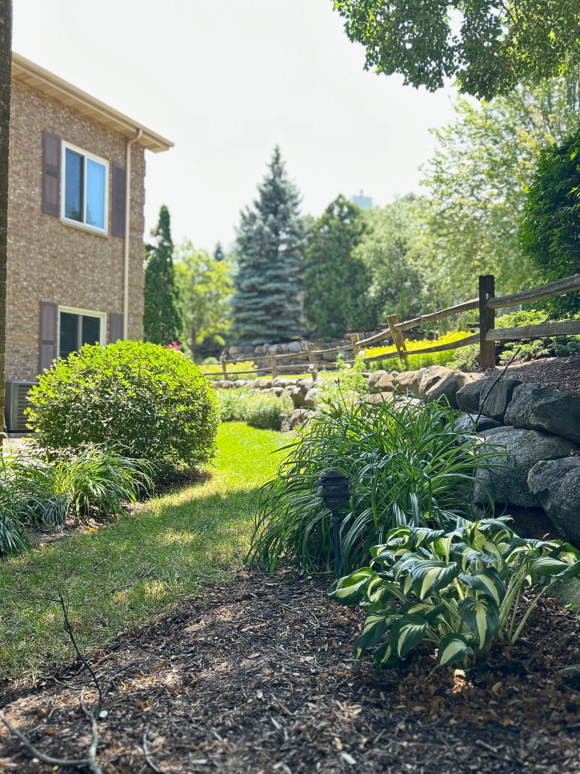 A house with a fence and a lot of plants in front of it.
