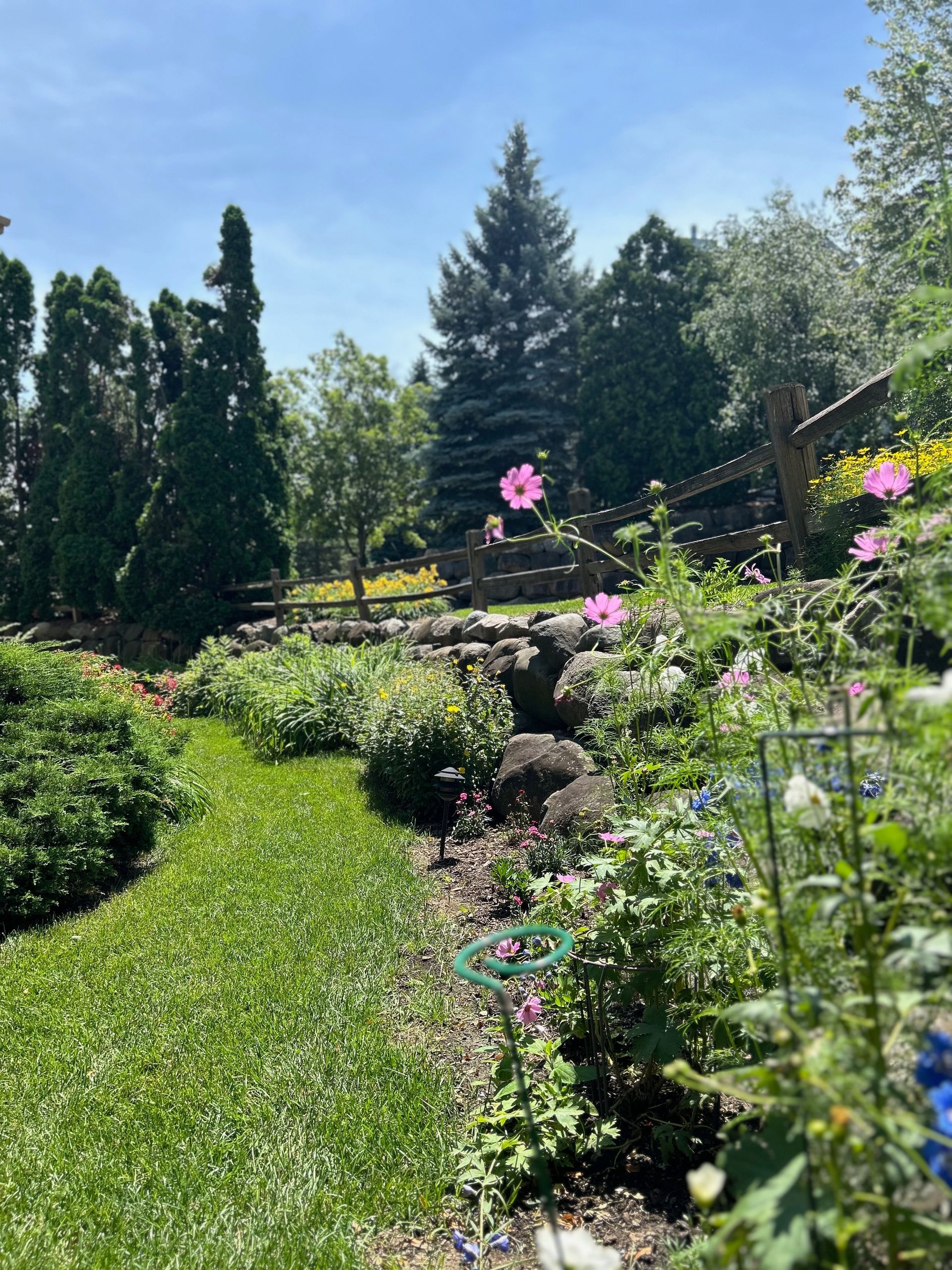 A garden filled with lots of flowers and trees on a sunny day.