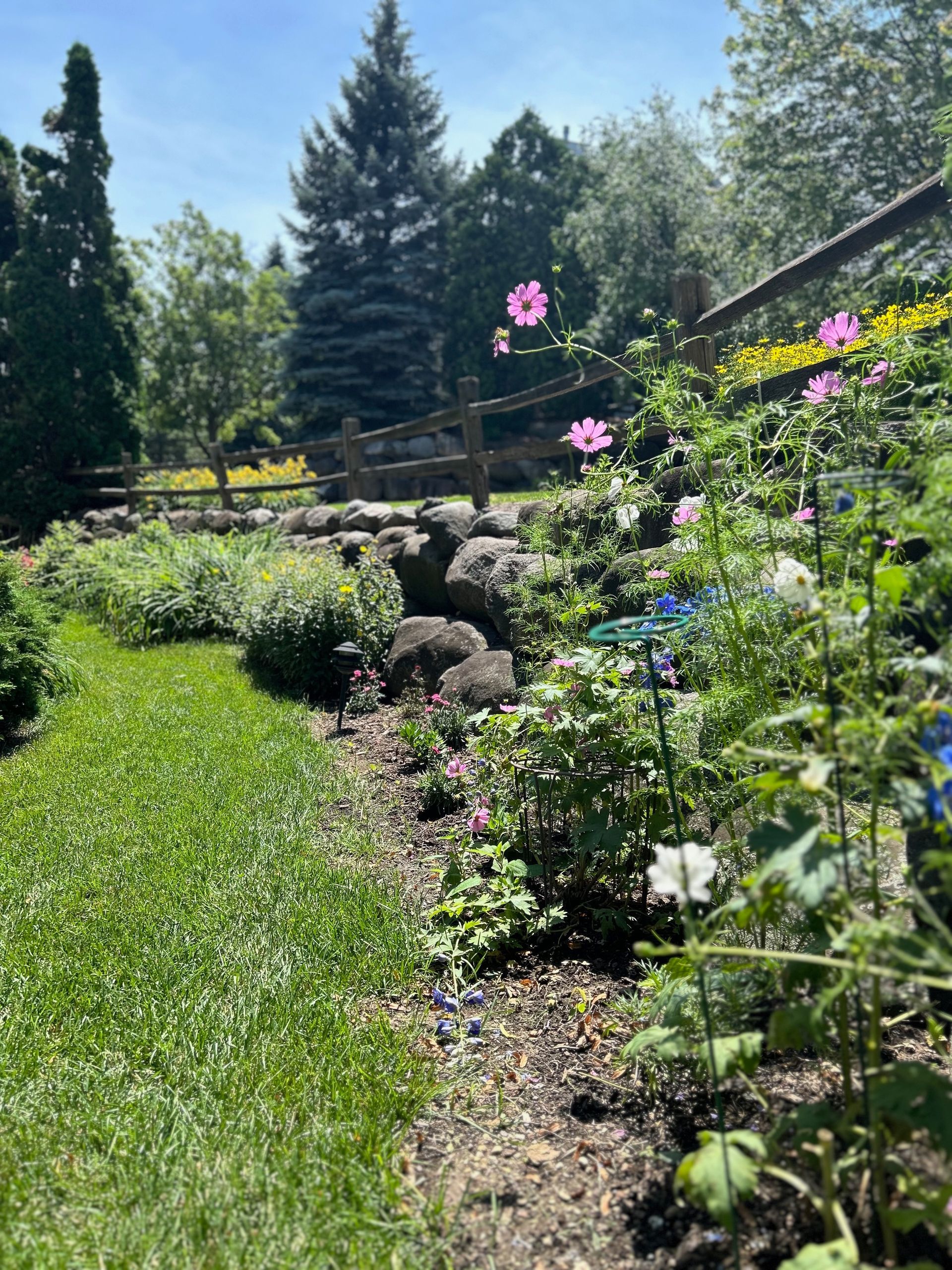 A garden filled with lots of flowers and a wooden fence.