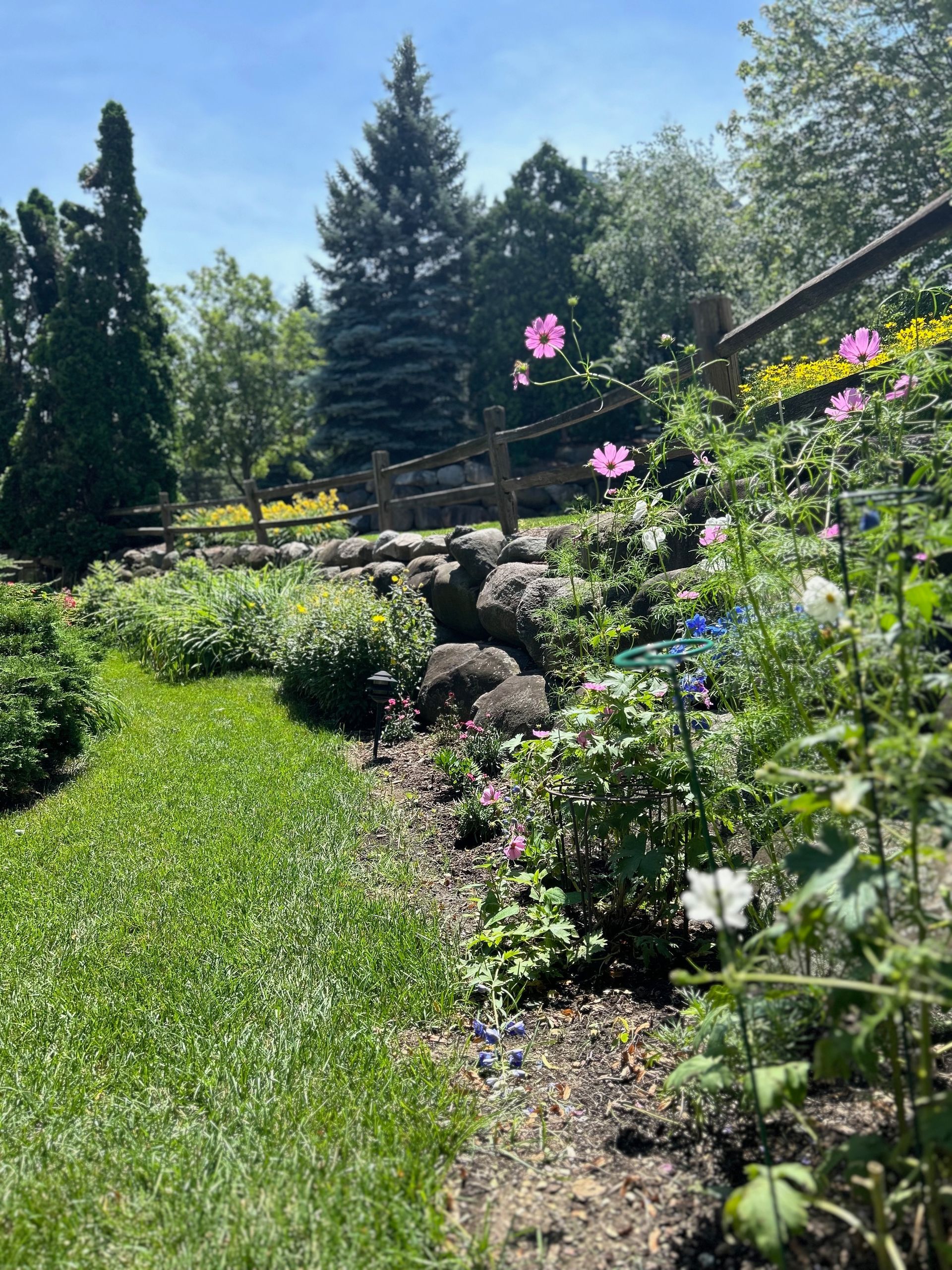 A garden filled with lots of flowers and trees on a sunny day.
