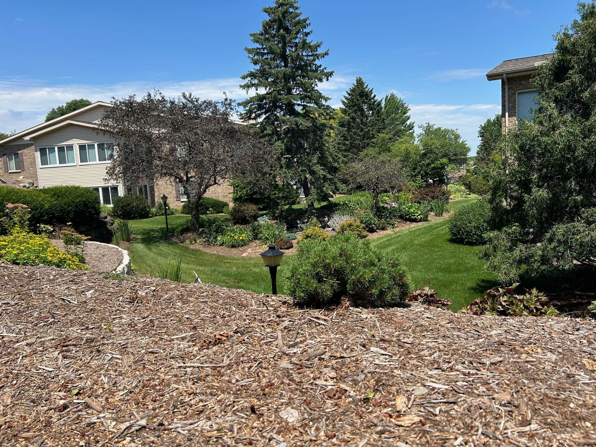 A house with a lot of trees in front of it