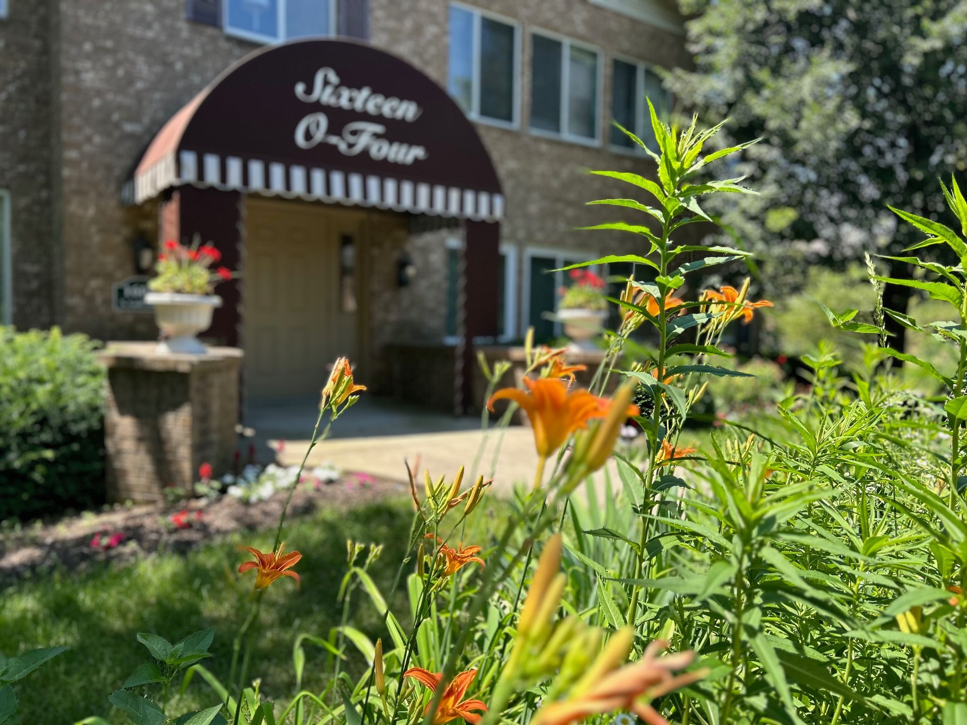 A building with a red awning and flowers in front of it.