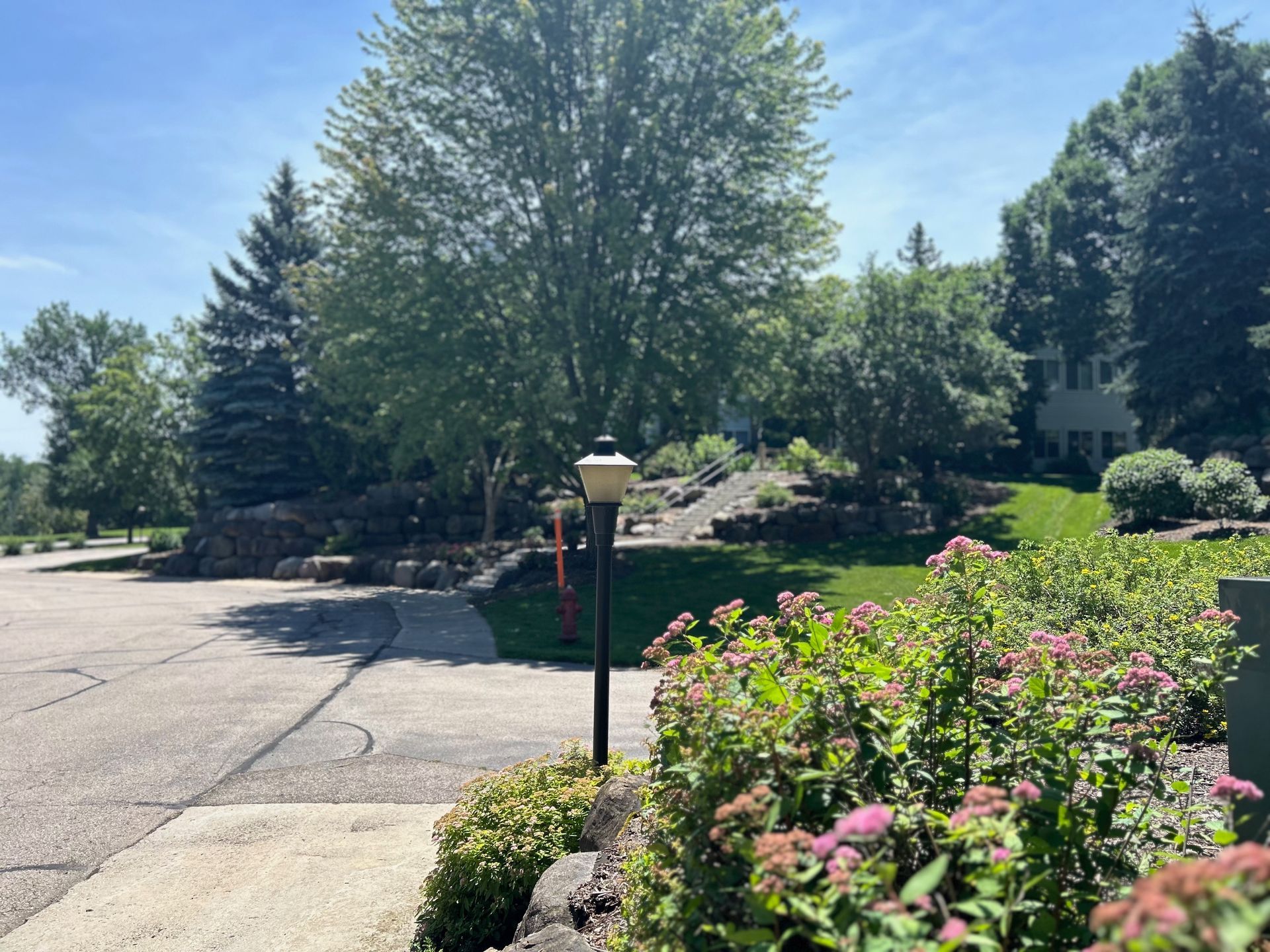 A street light is in the middle of a lush green garden.