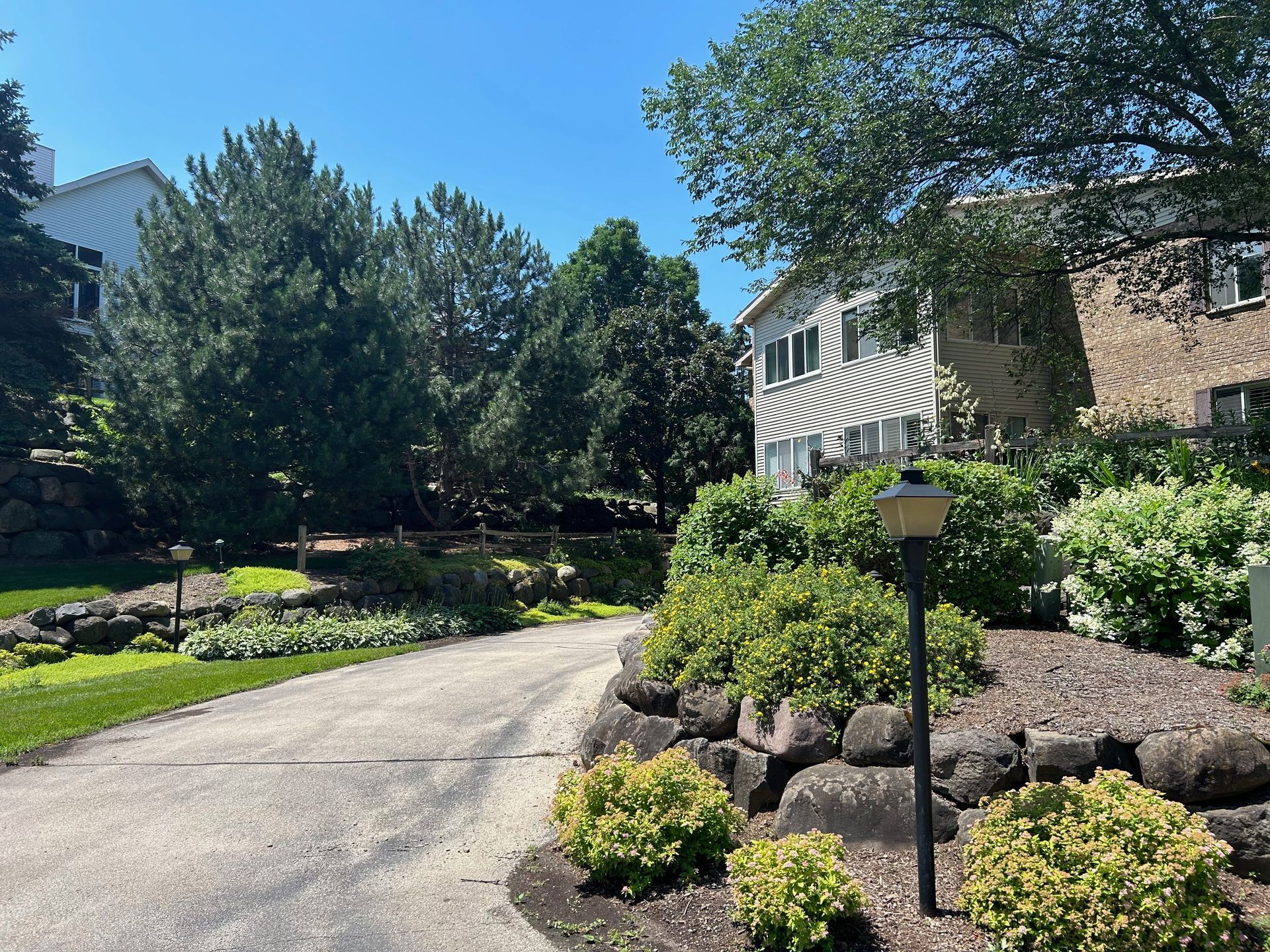 A driveway leading to a house surrounded by trees and bushes