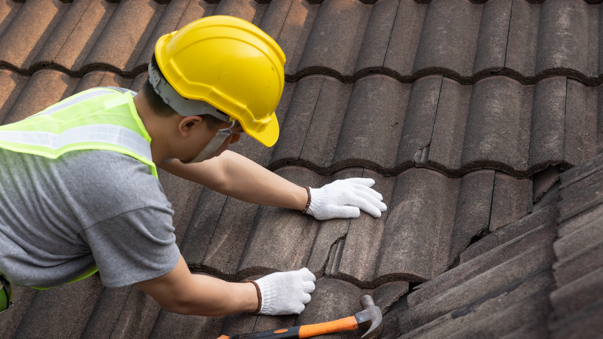 replace or repair roof
