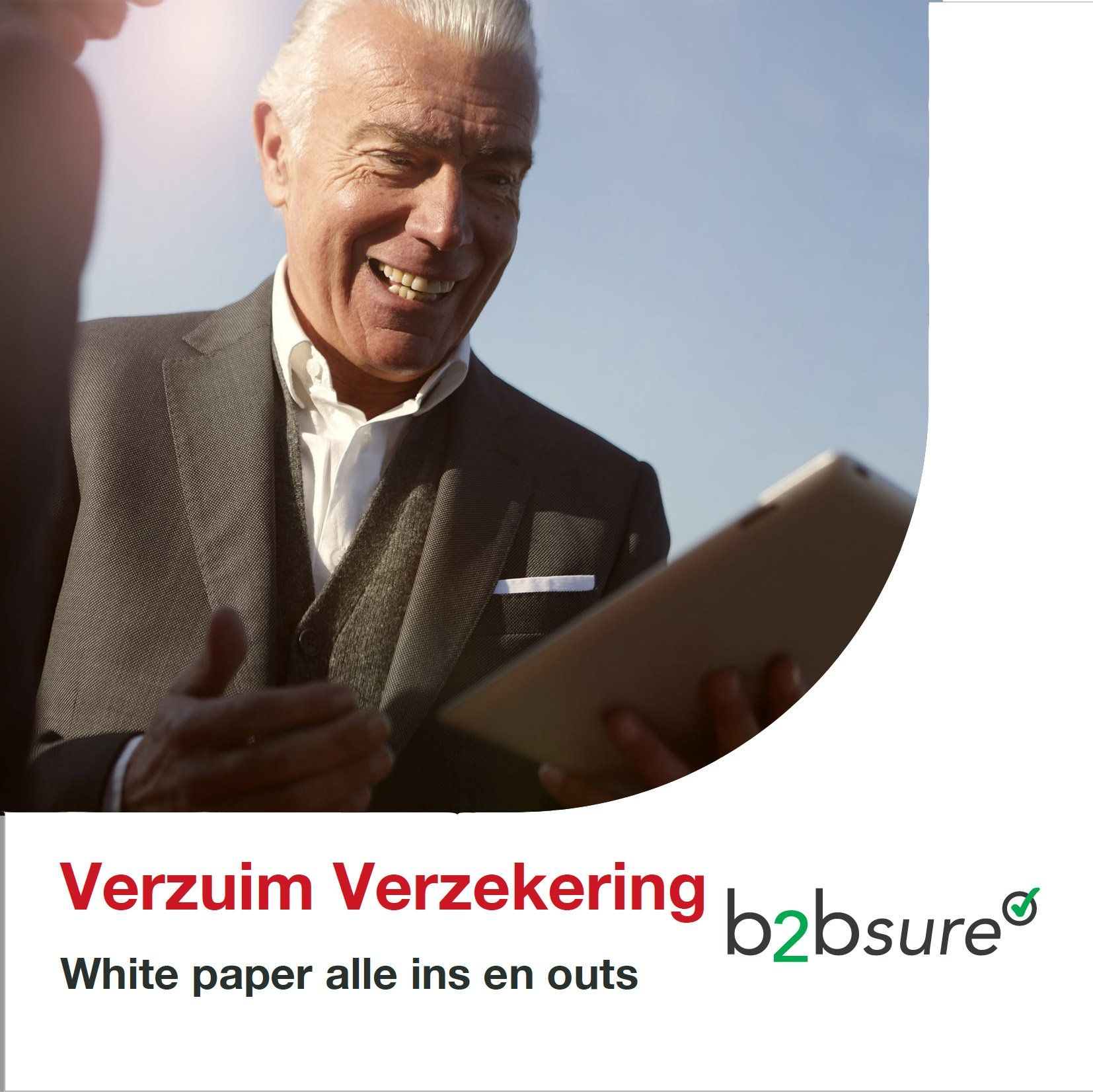 Verzuimzorg White paper