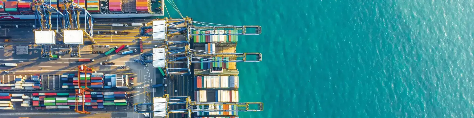 blue cargo container