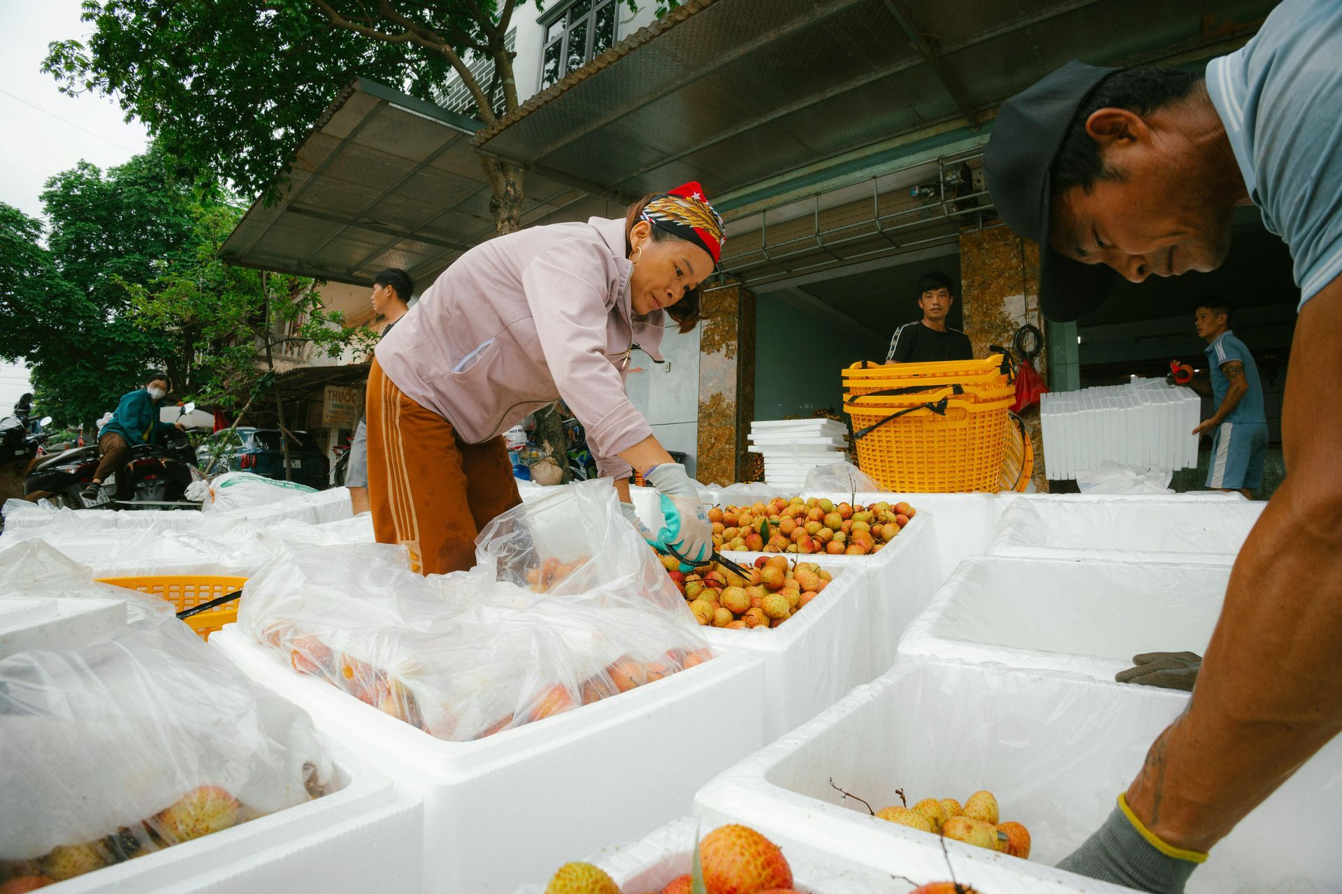 trade agreement with Vietnam