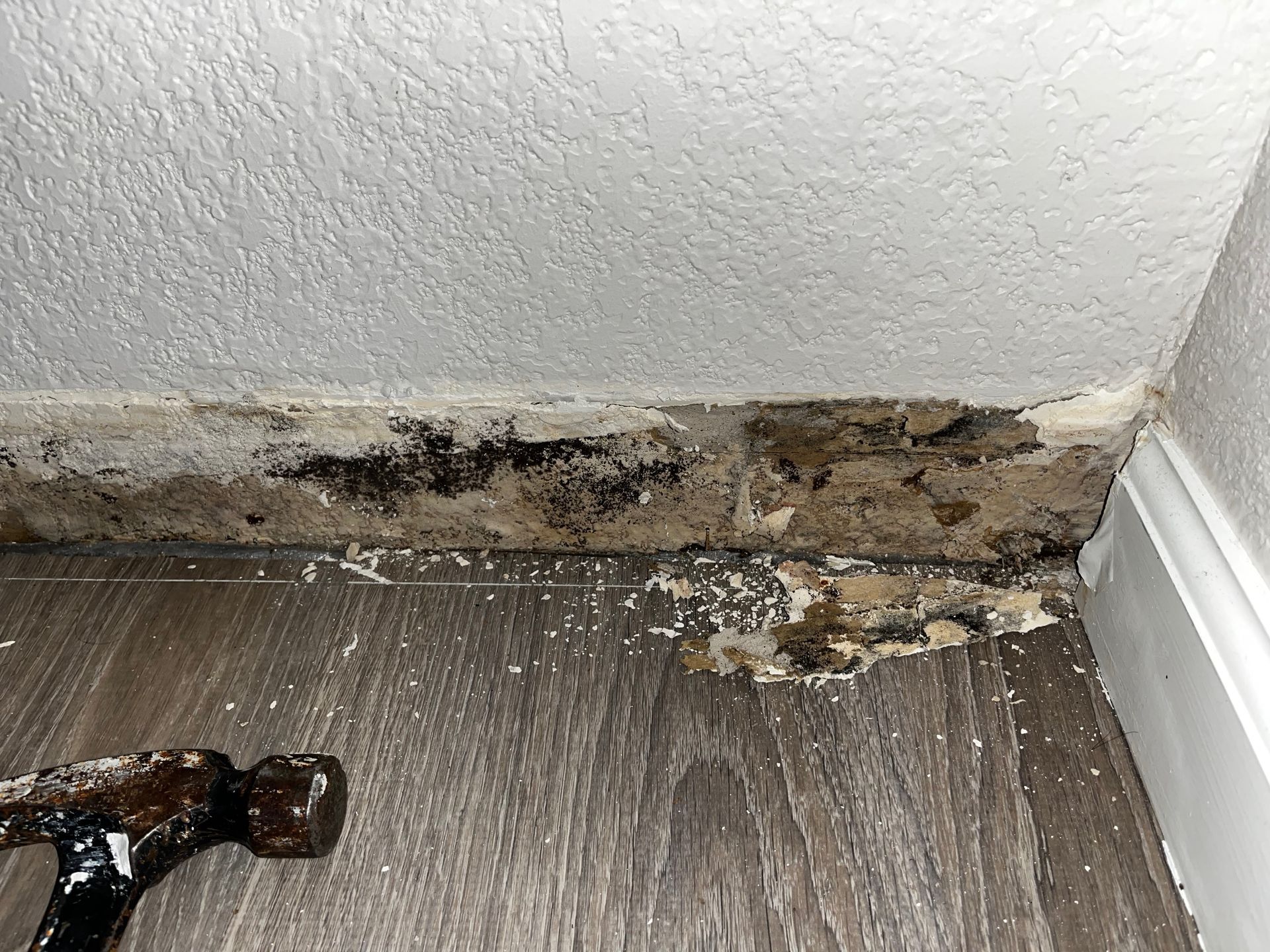 Mold Remediation Petrali Pro Services