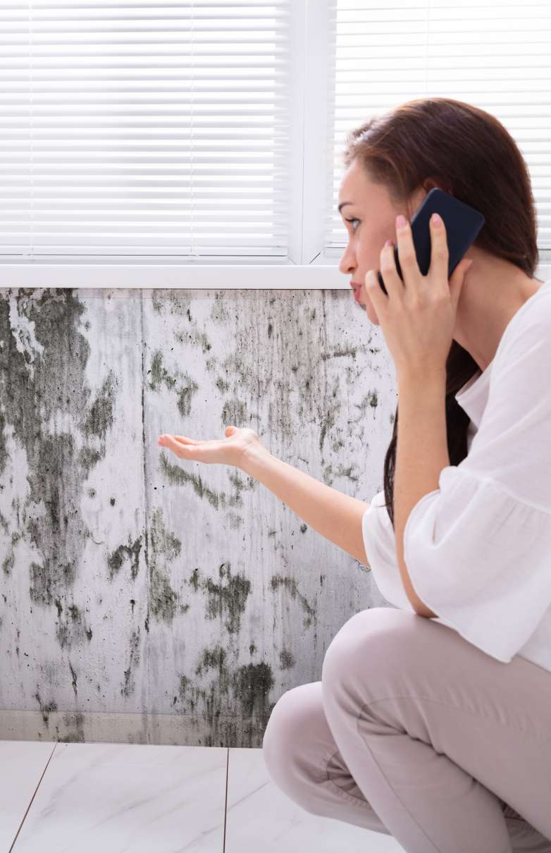 woman calling to remove mold on house