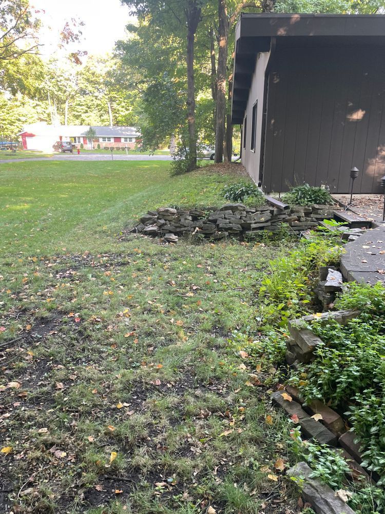 A house is sitting in the middle of a lush green field