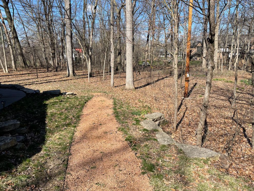 A dirt path in the middle of a park
