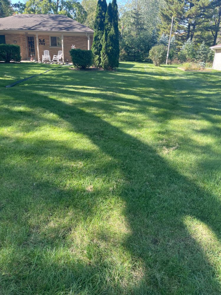A lush green lawn with a house in the background