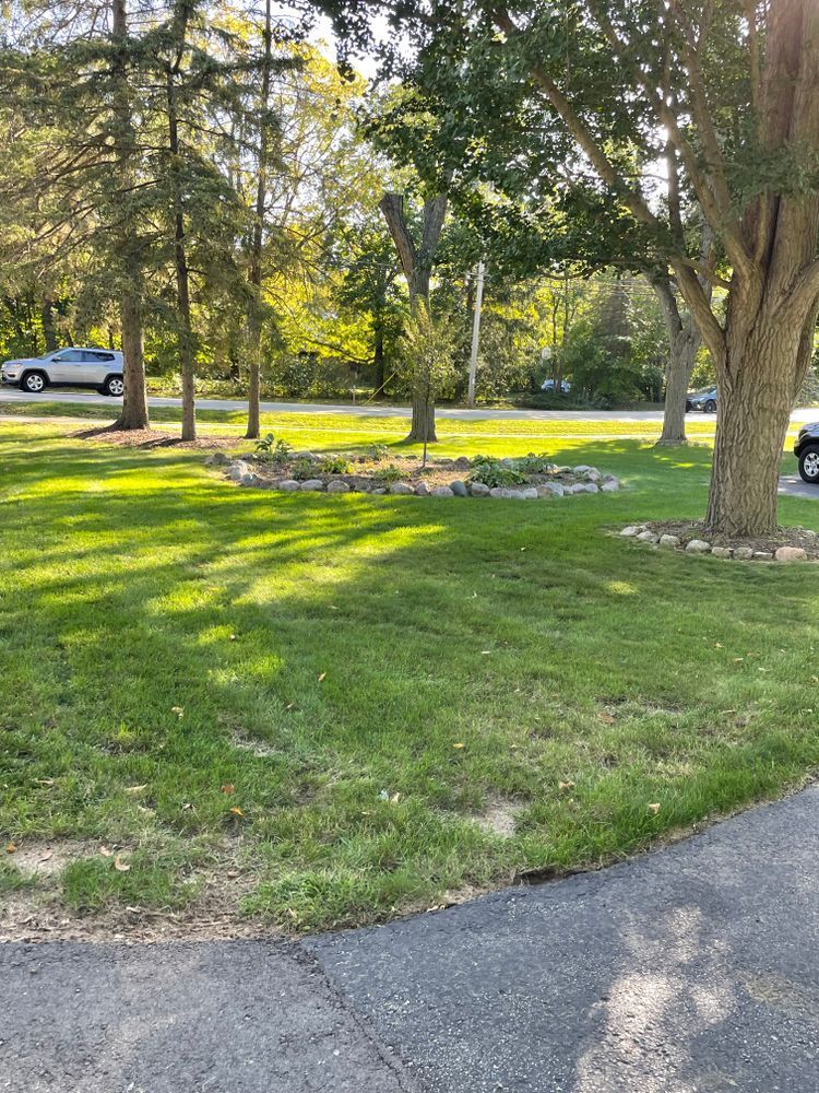 A car is parked on the side of the road next to a lush green lawn