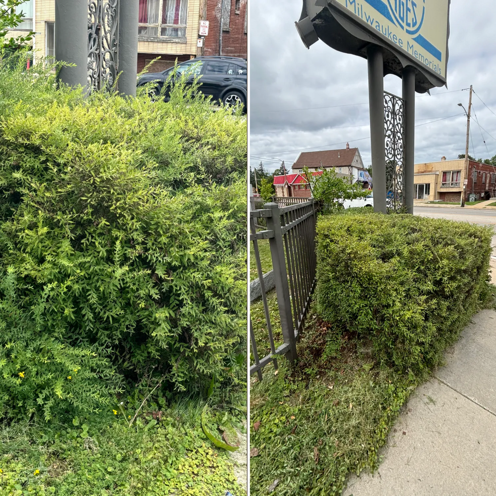 A before and after picture of a bush next to a sign