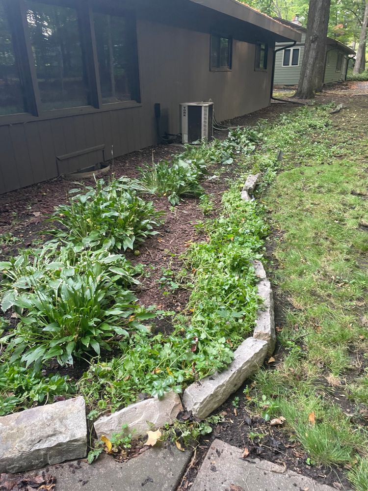 A house with a lot of plants in front of it