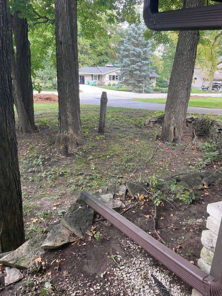A fence is sitting in the middle of a forest next to a house