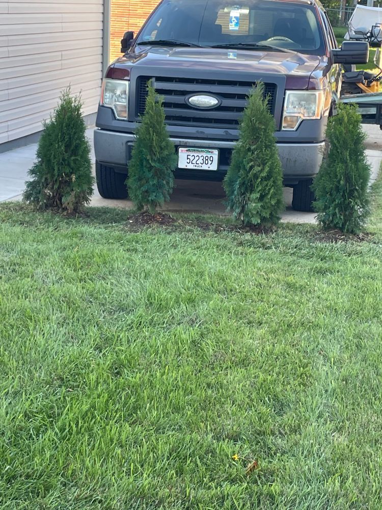 A gray ford truck is parked in a lush green yard