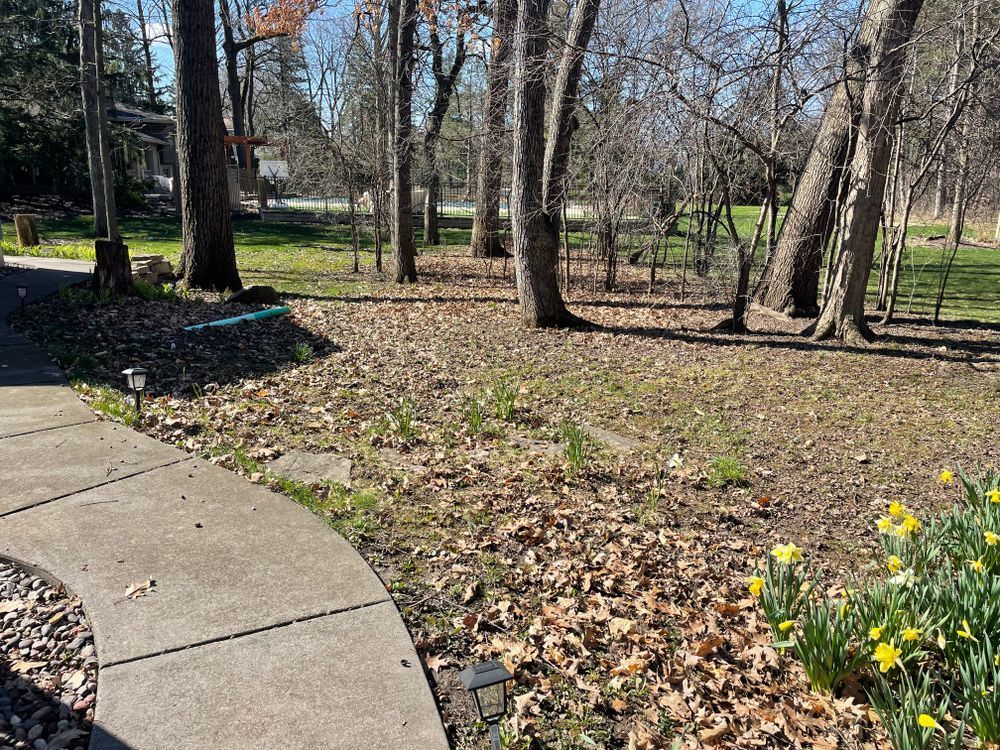 A sidewalk leading to a park with trees and leaves on the ground